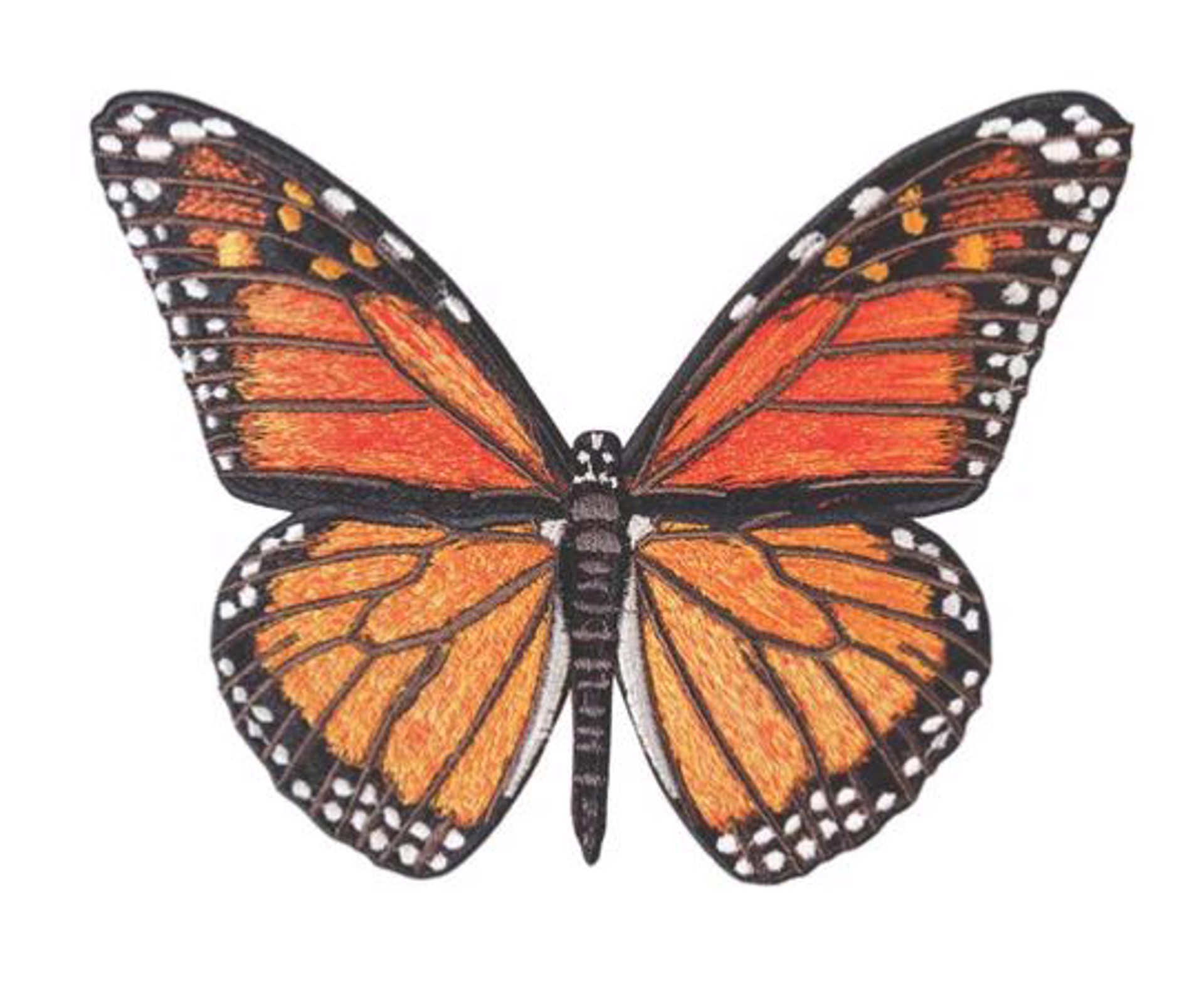 Monarch Butterfly 4" by Stephen Wilson