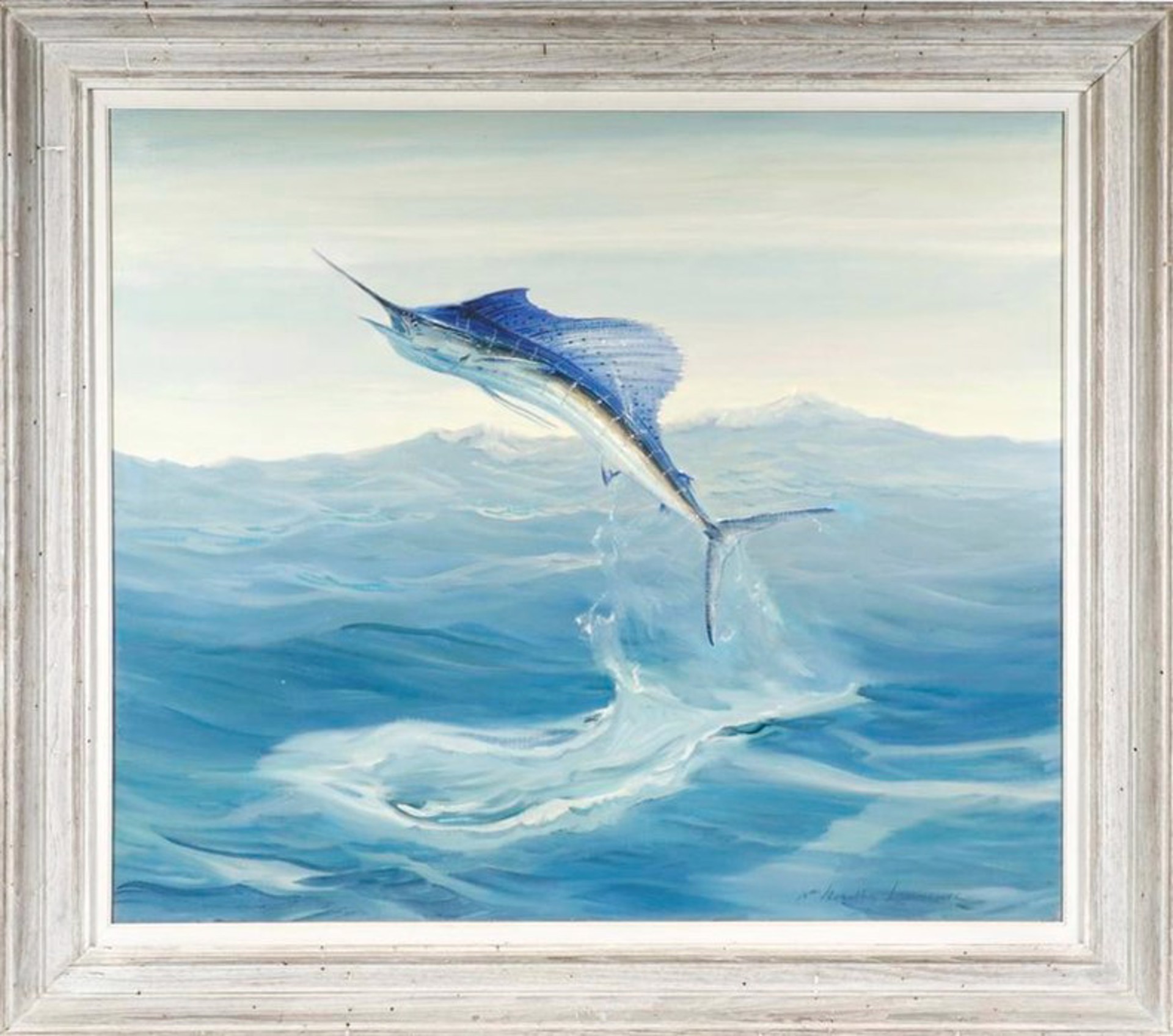 Sailfish by William Goadby Lawrence