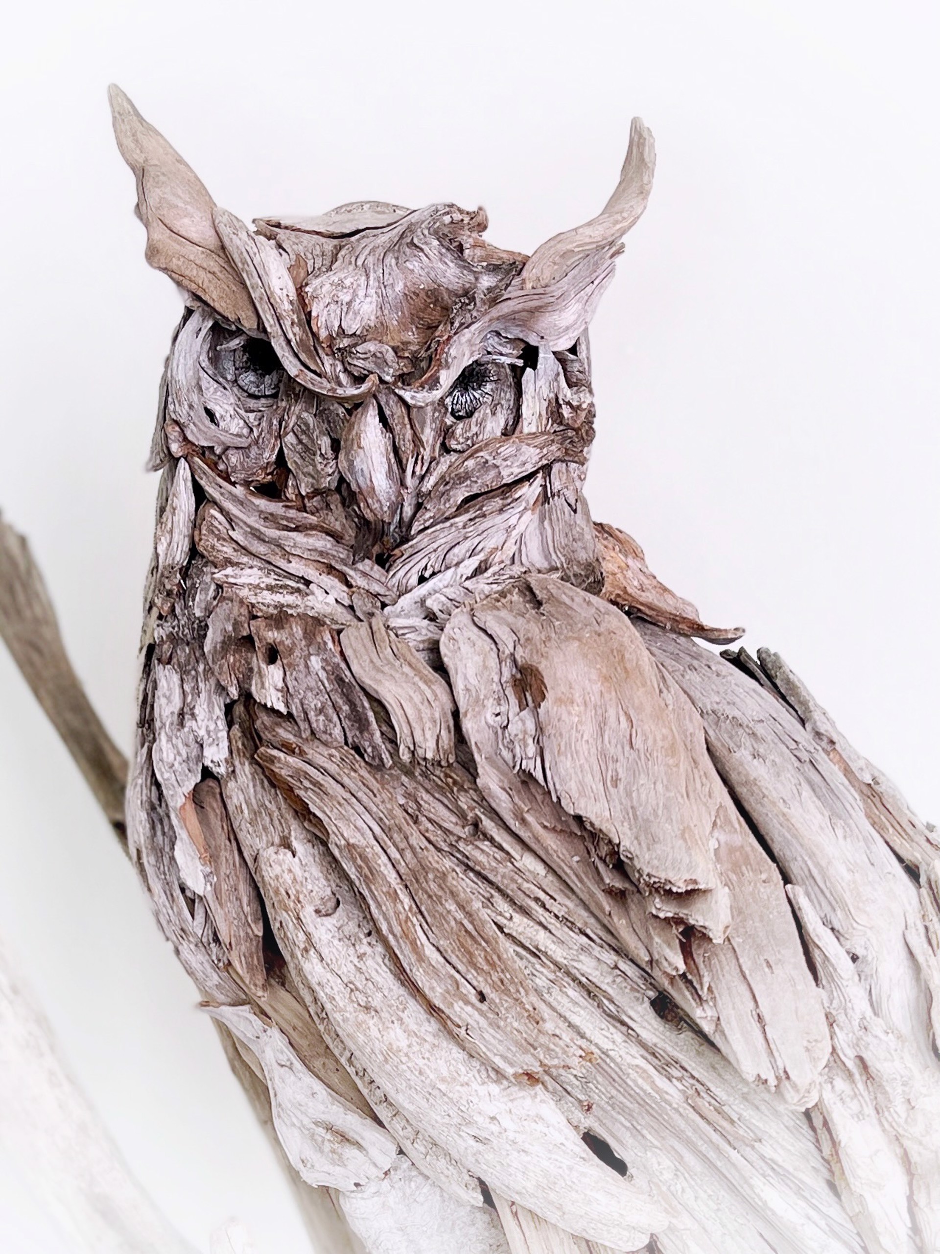 Great Horned Owl by Dalyn Berryman