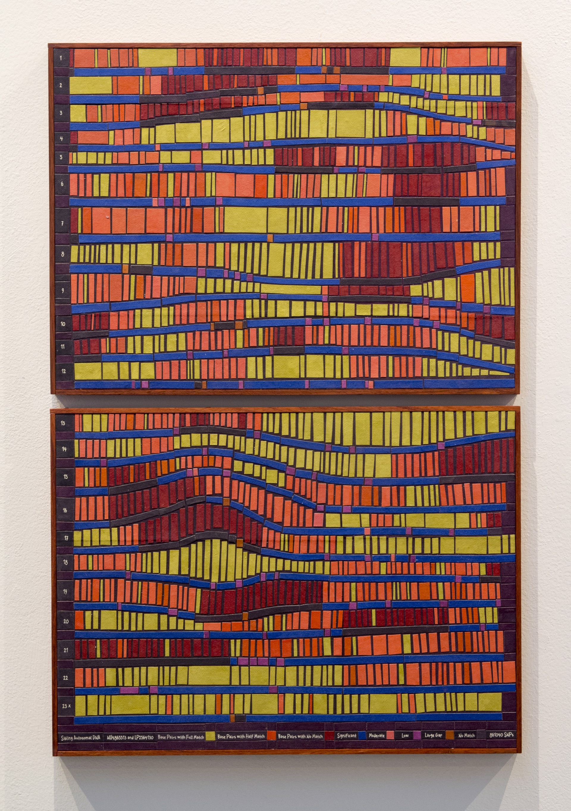 DNA Match Skinny Fat by Laurie Frick