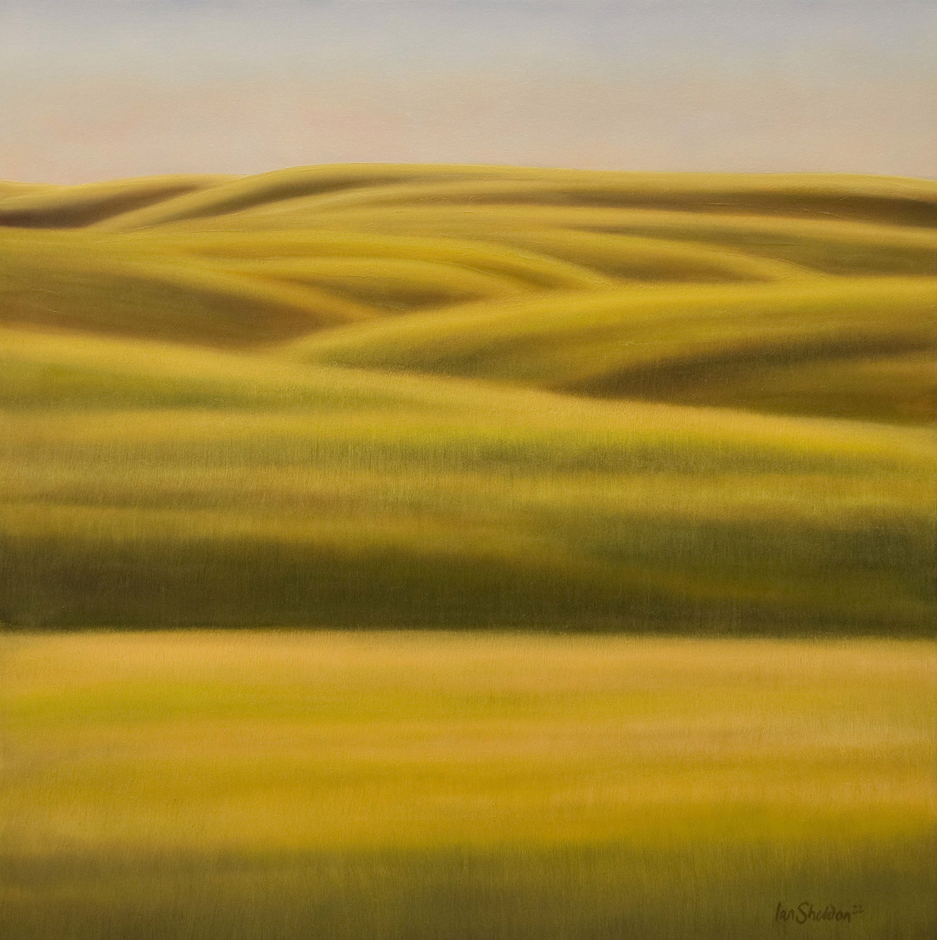 Prairie Lines by Ian Sheldon
