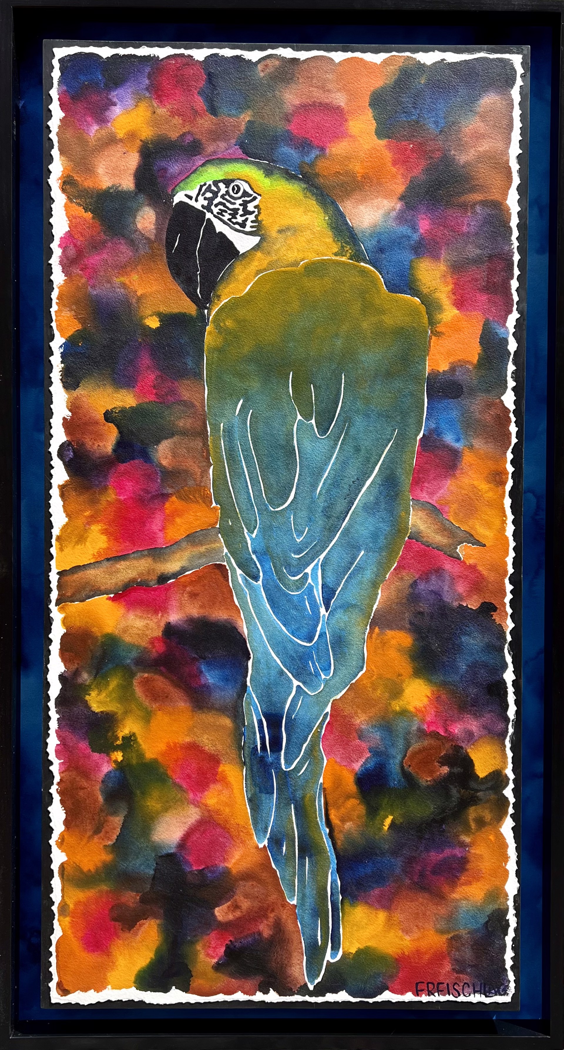A Parrot’s Colors by Peter Freischlag