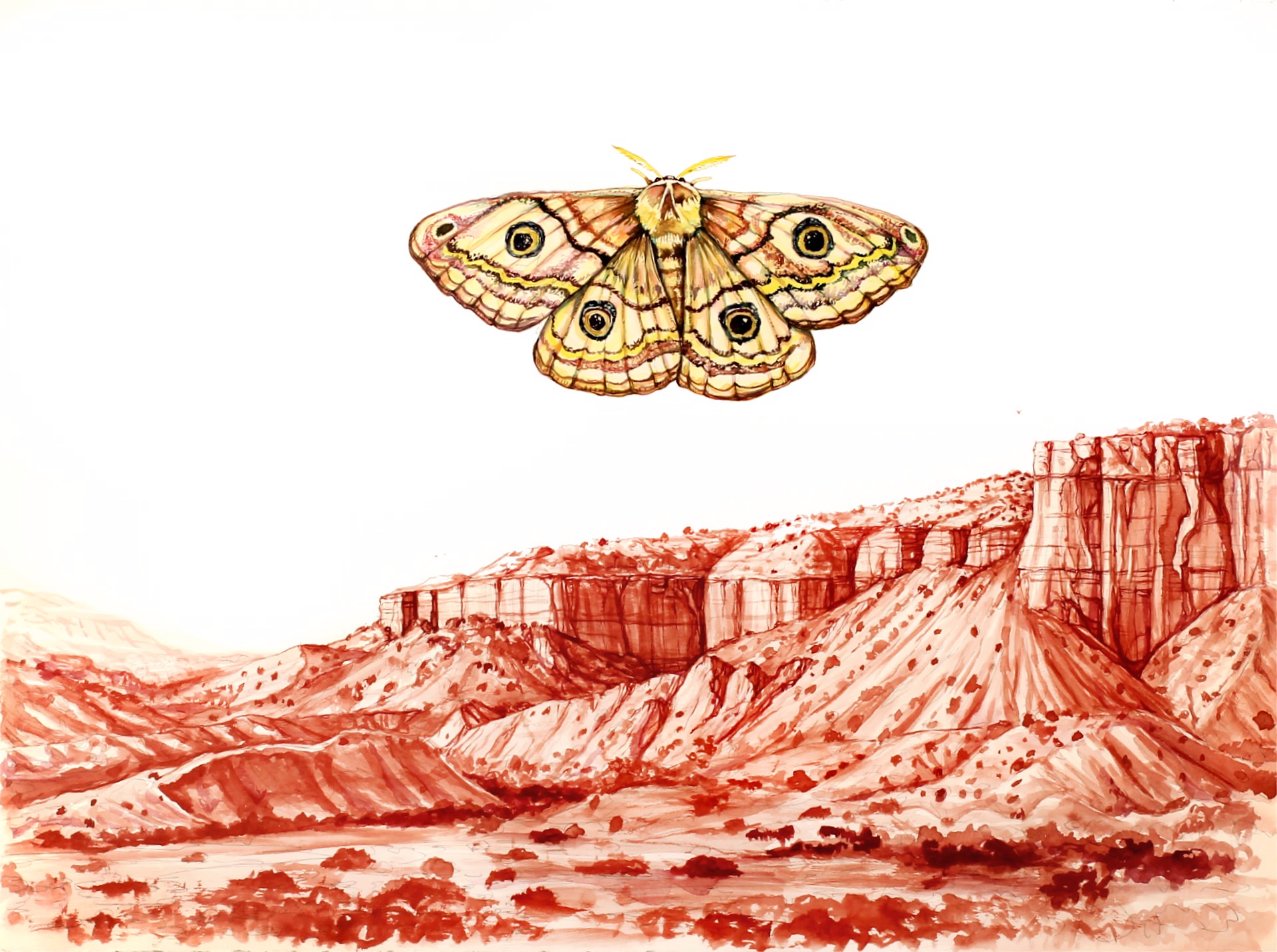 Vision Moth Over Abiquiu by Todd Ryan White
