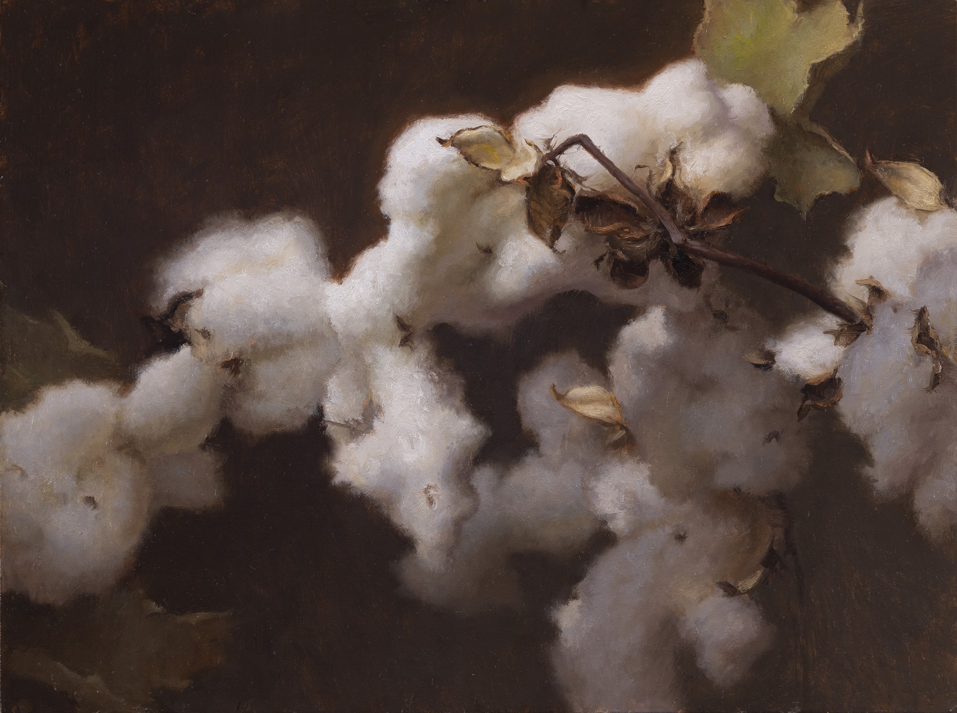 Cotton Wave by GRACE DeVITO