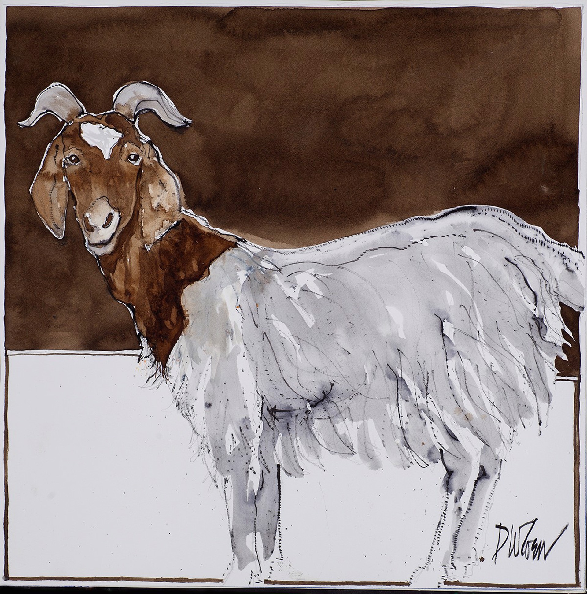 Brown and White Goat by Don Coen