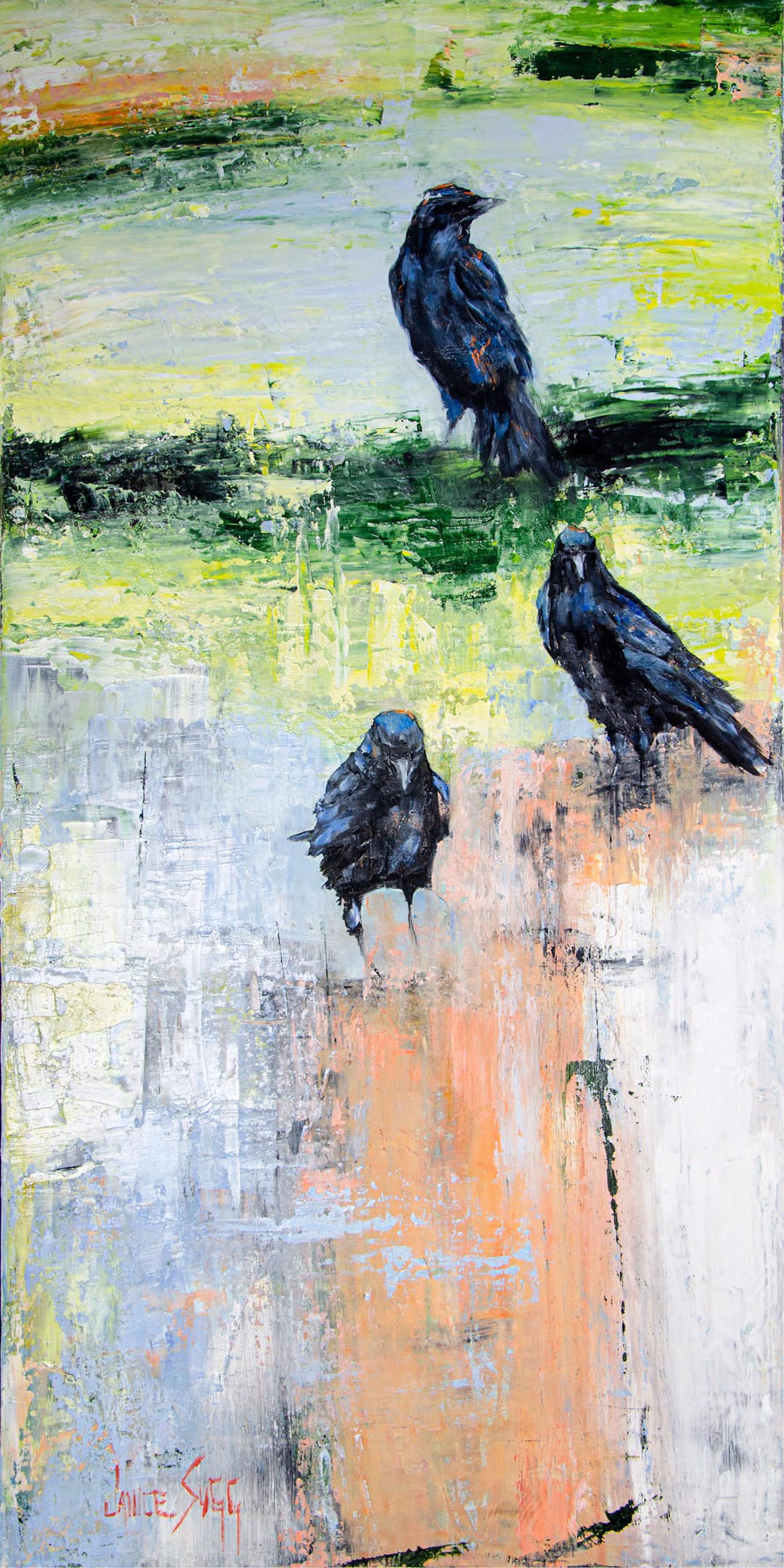 Trio of Ravens by Janice SUGG