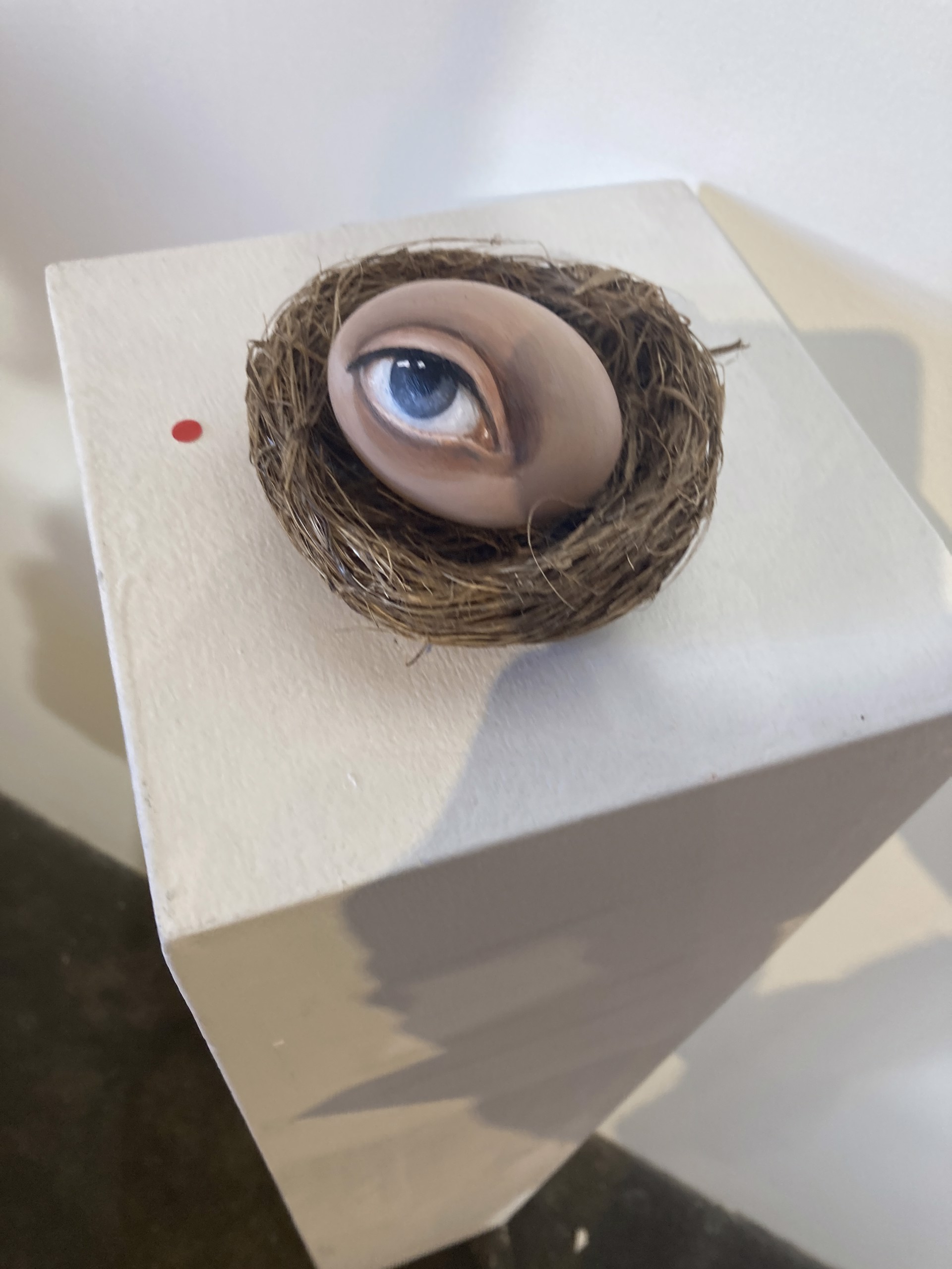 The Egg and the Eye by Alexandra Dillon