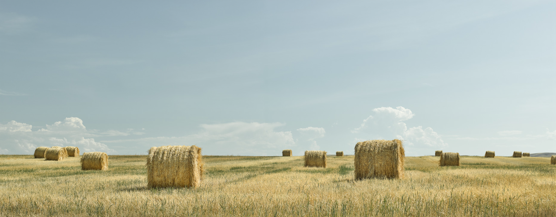 Hay Field 3 by Jim Westphalen