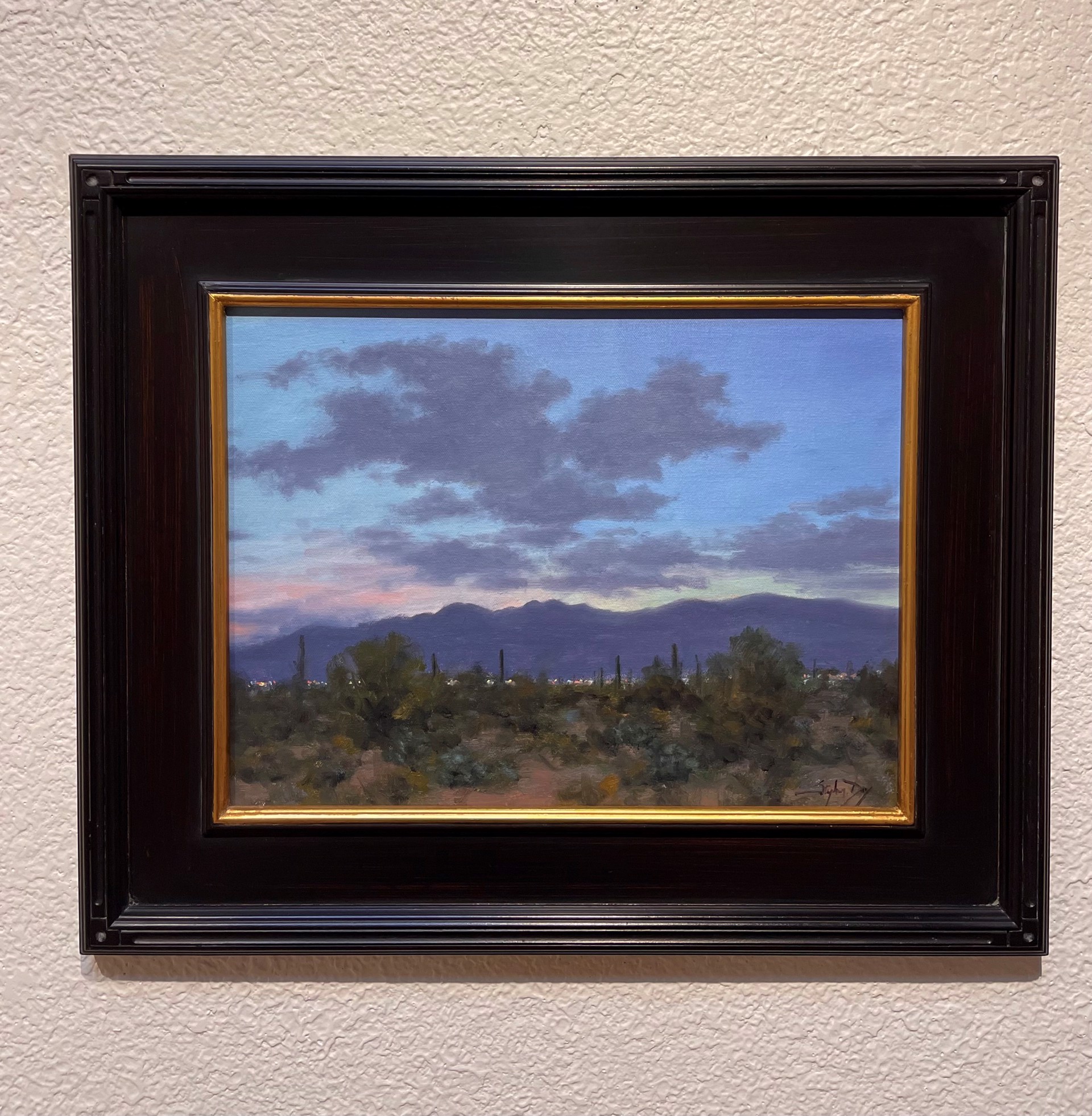 Tucson Twilight by Stephen Day