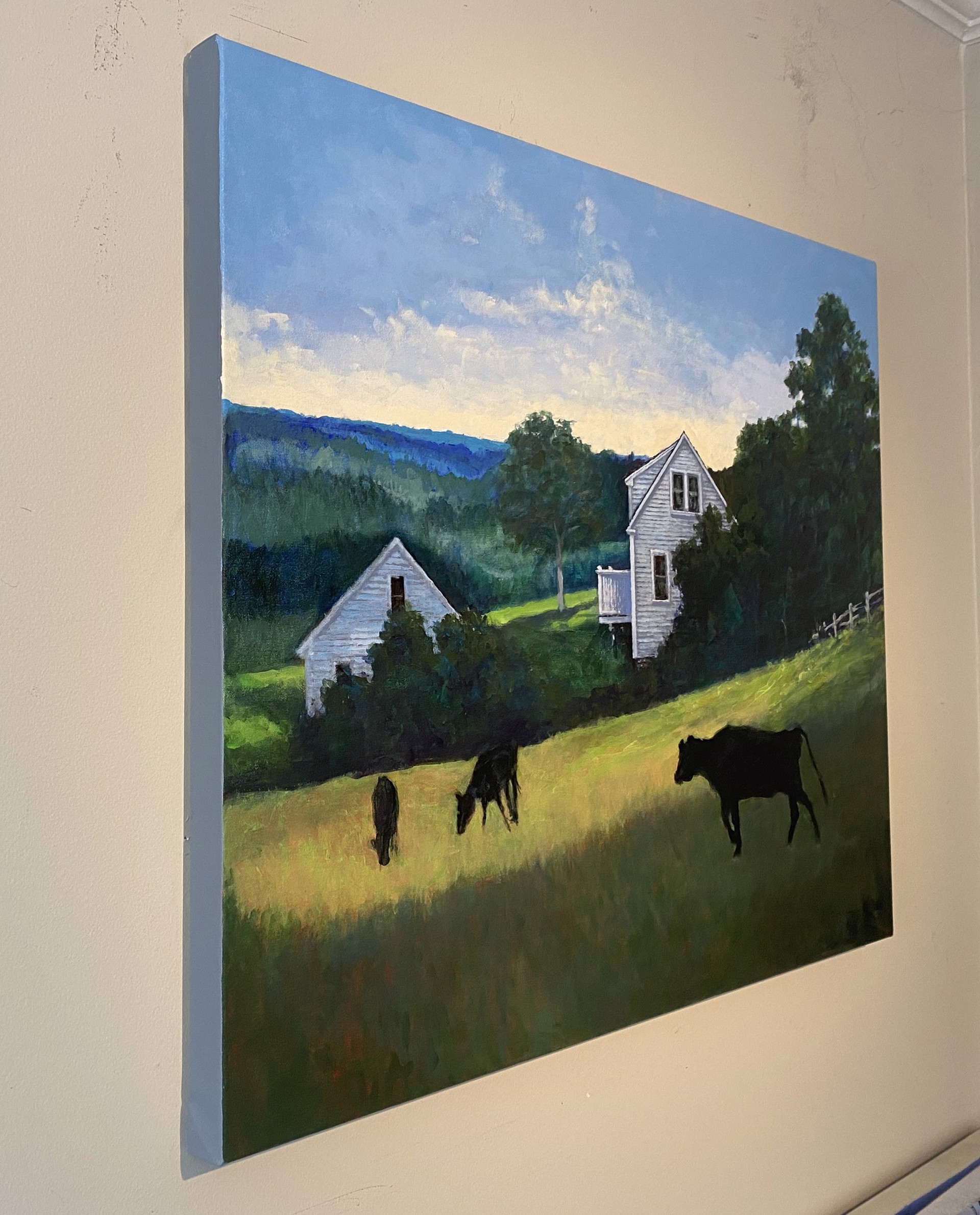 Black Cows in the Afternoon by Douglas H. Caves Sr.