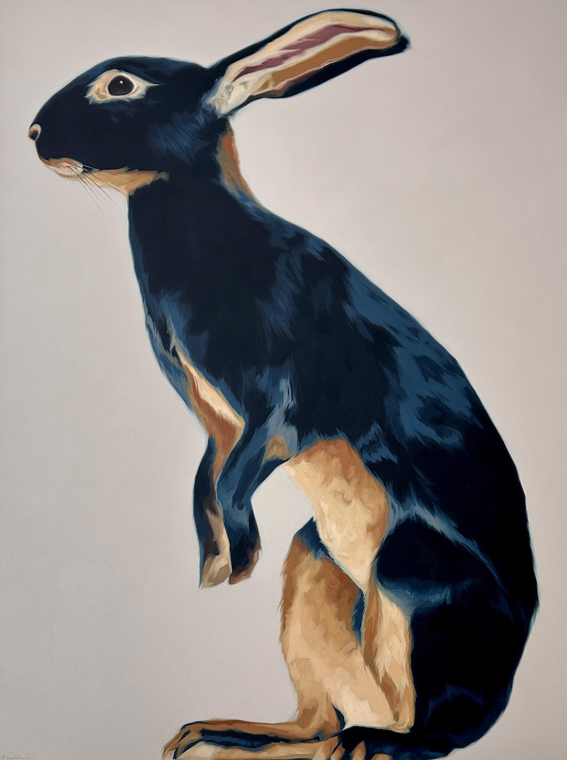 Lucky by HEATHER MILLAR | Adele Campbell Fine Art