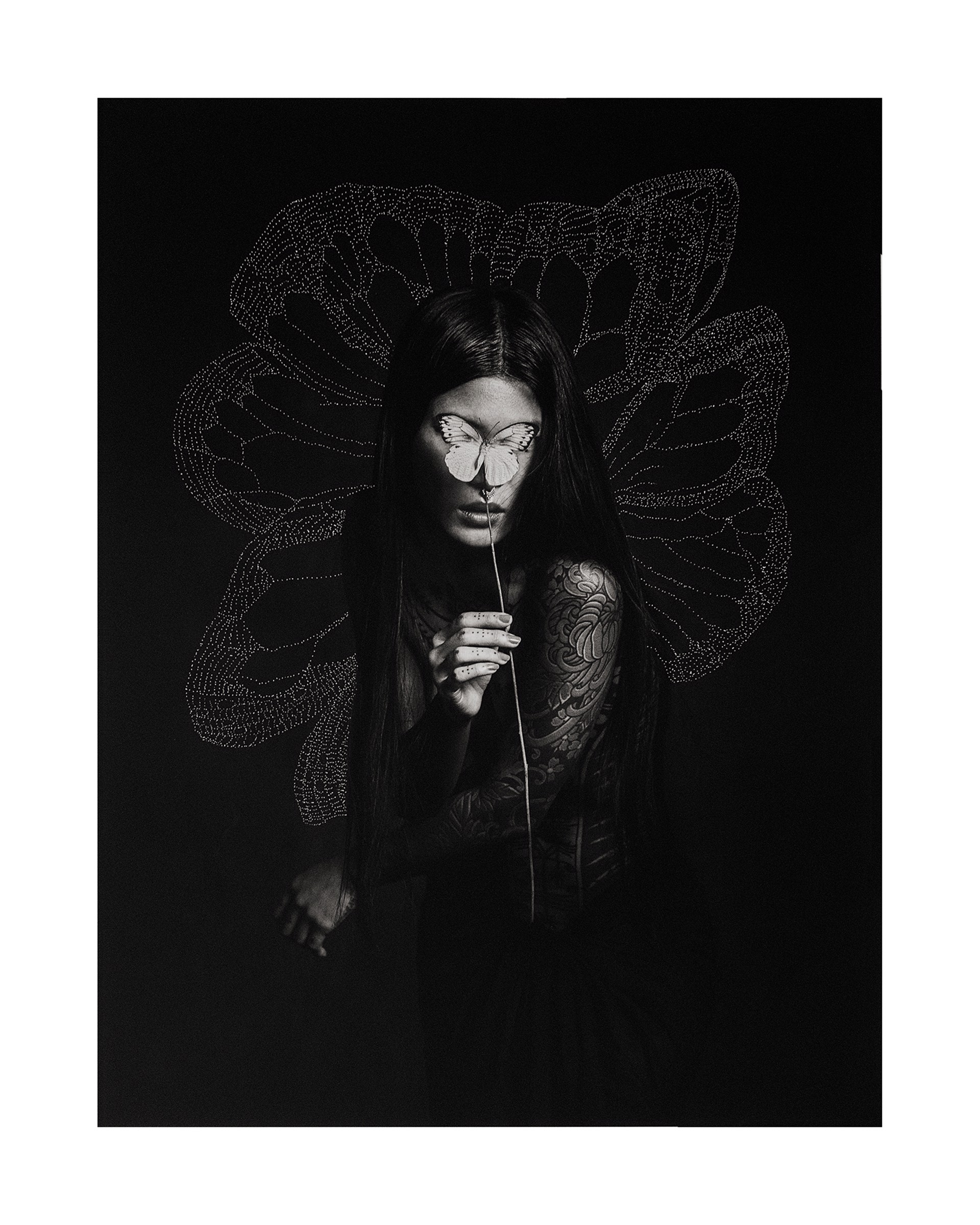 Effect Papillon by Reka Nyari