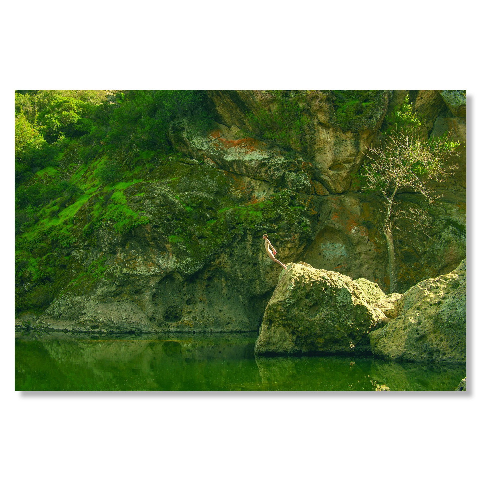 Malibu Rock Pond by Tyler Shields