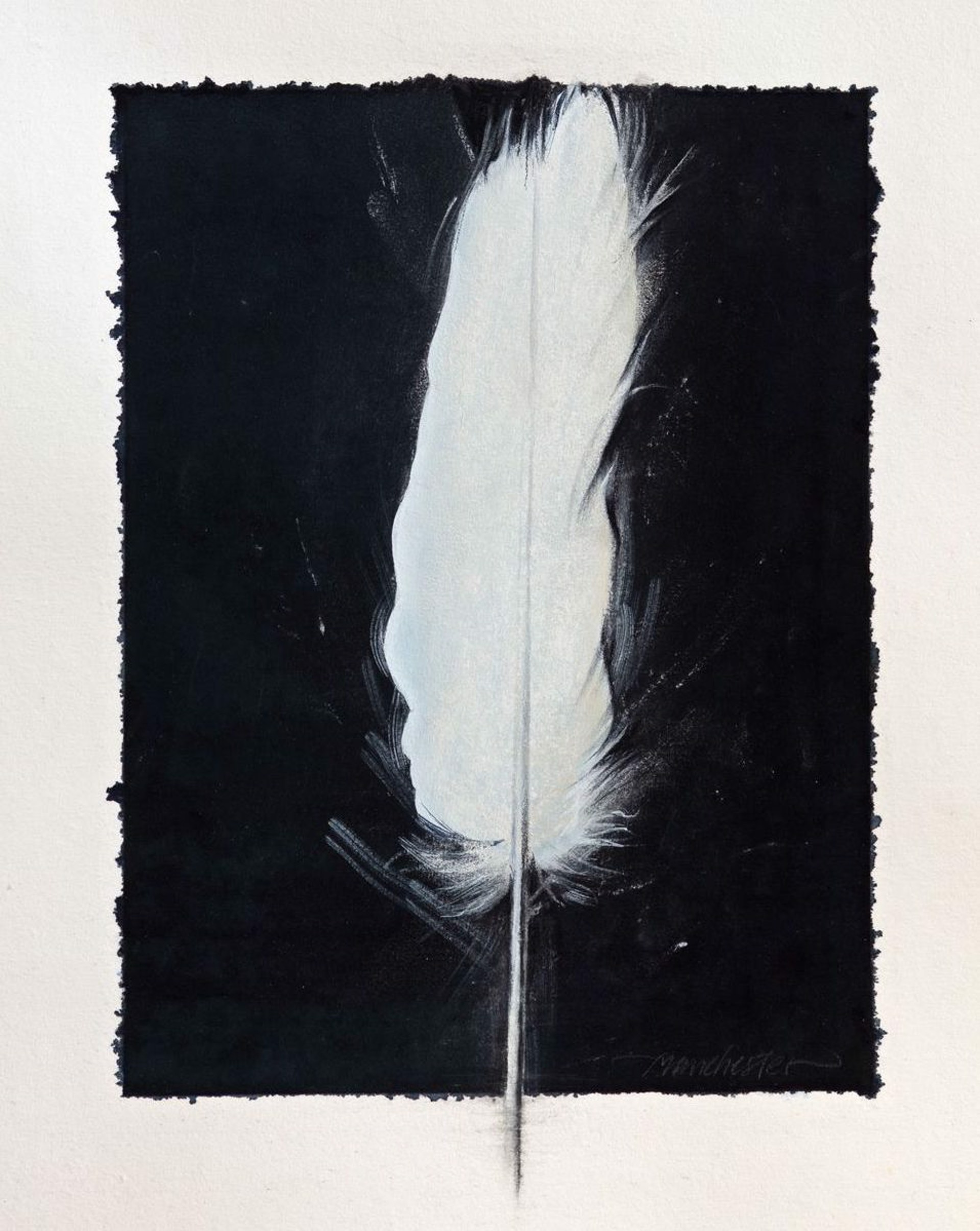 Twinrocker Feather by Susan Manchester