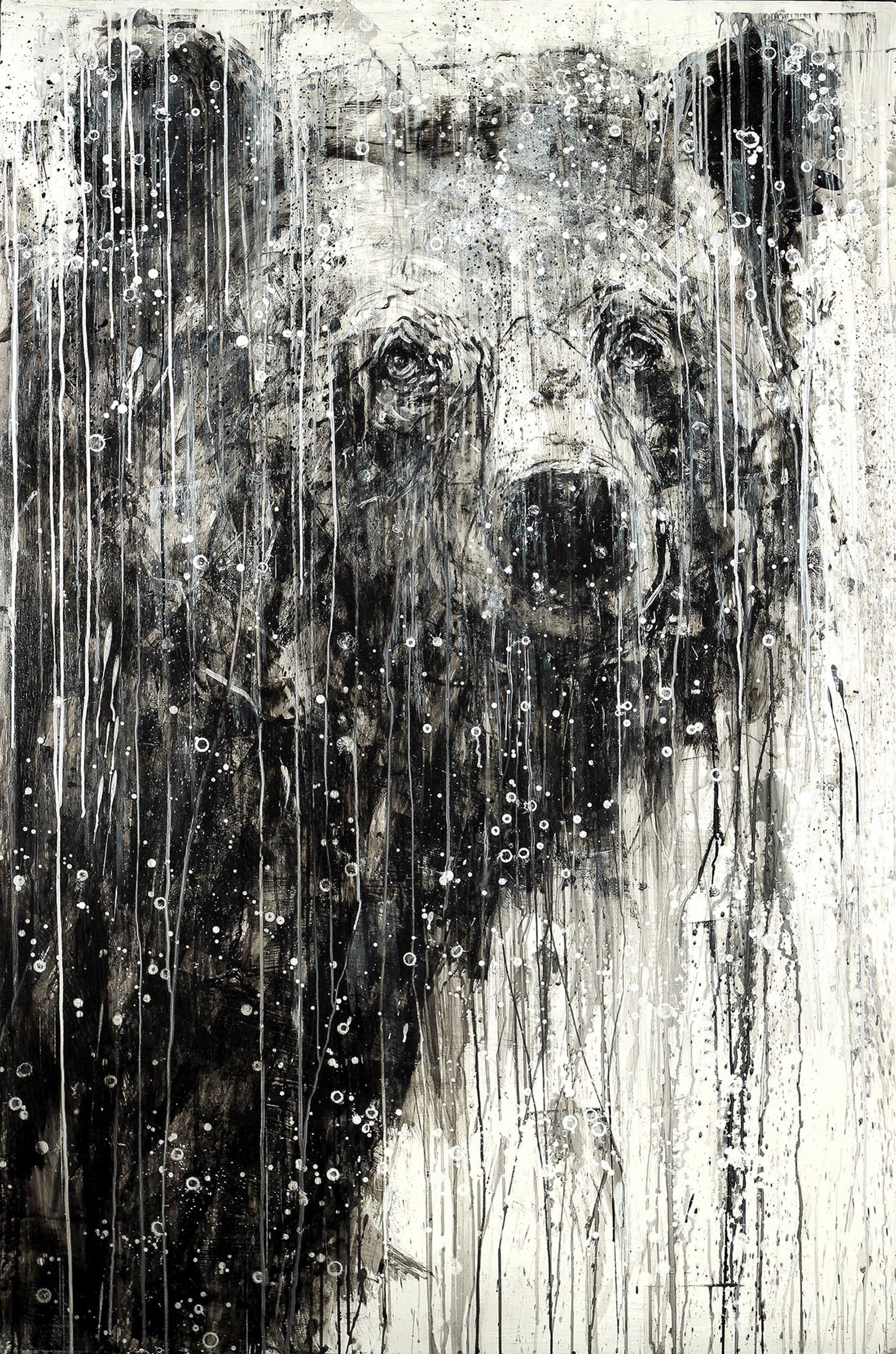 A Painting Of An Expressive Contemporary Style Bear Portrait In Black And White  With Drips, By Matt Flint, Available At Gallery Wild