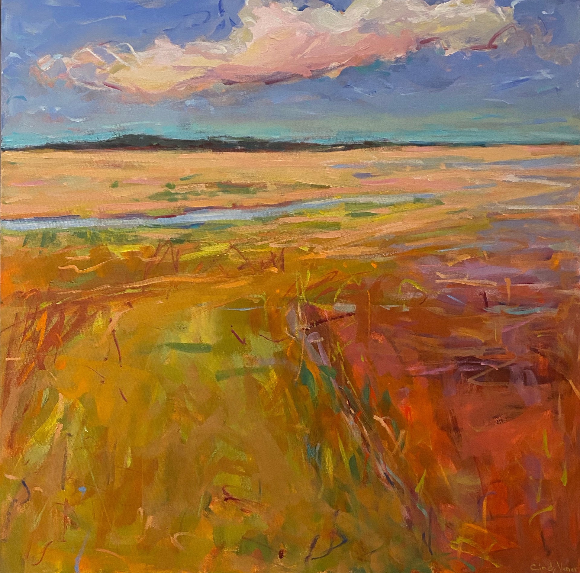 Golden Hour by Cindy Vener
