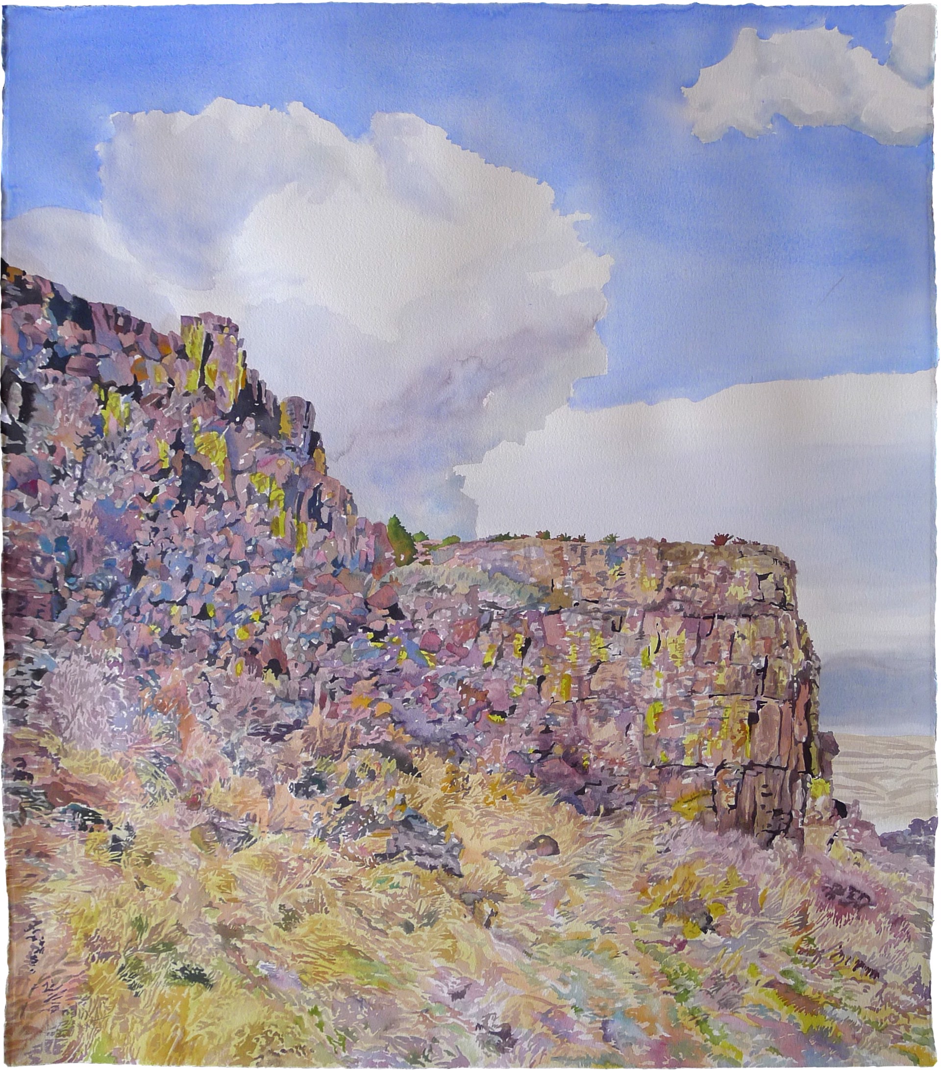 Basalt Outcrop by Divit Cardoza