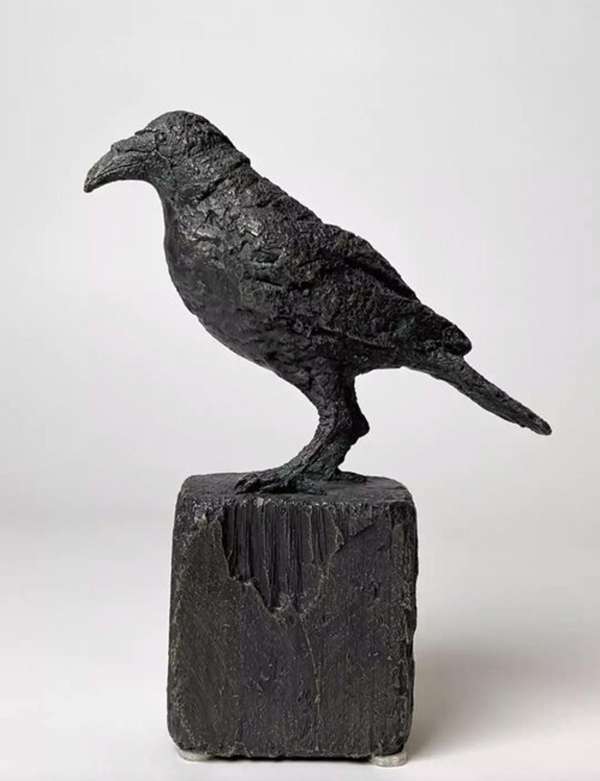 Raven by Gustavo Torres