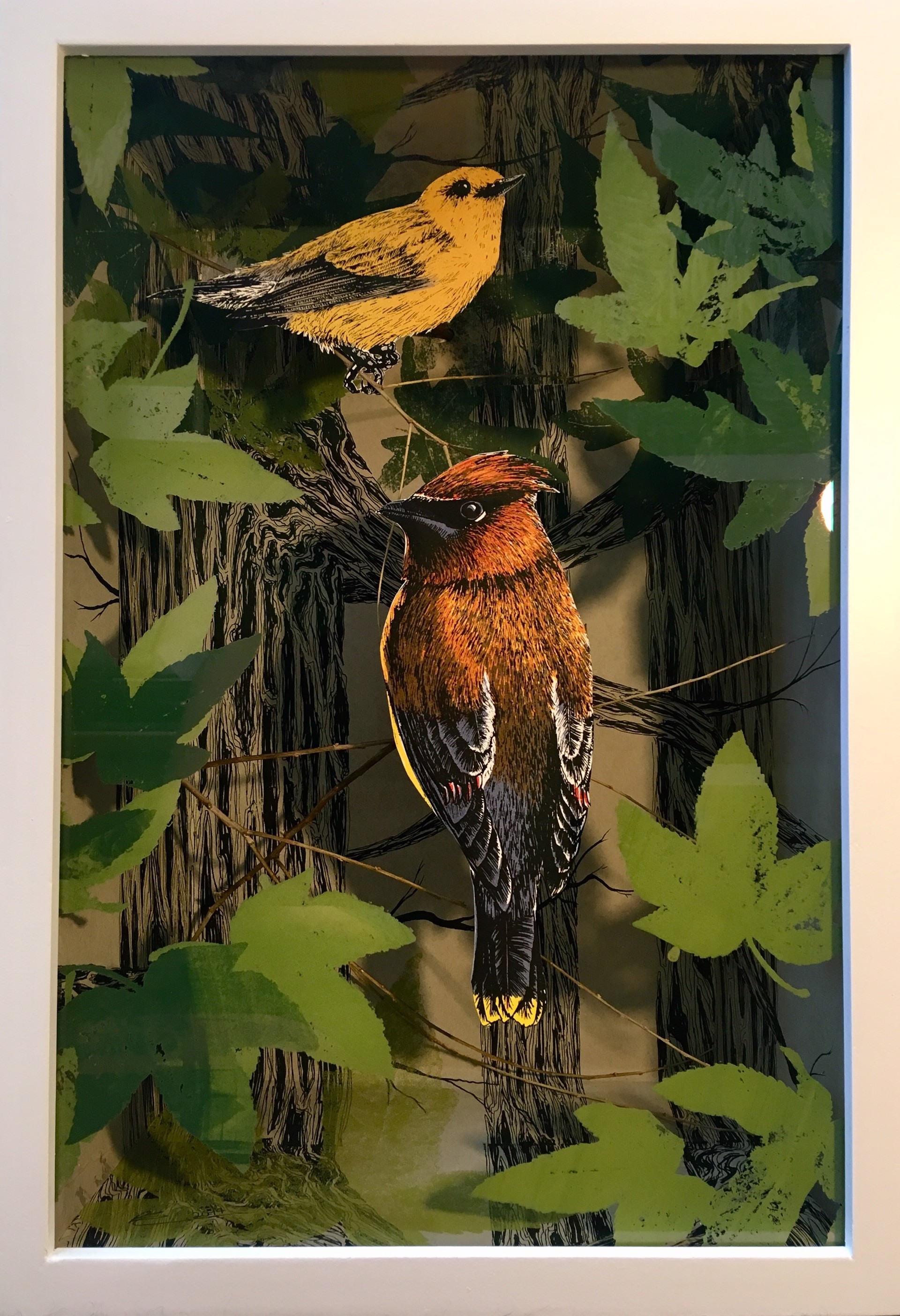 Warbler and Waxwing in Bottomland Forest by Pippin Frisbie-Calder