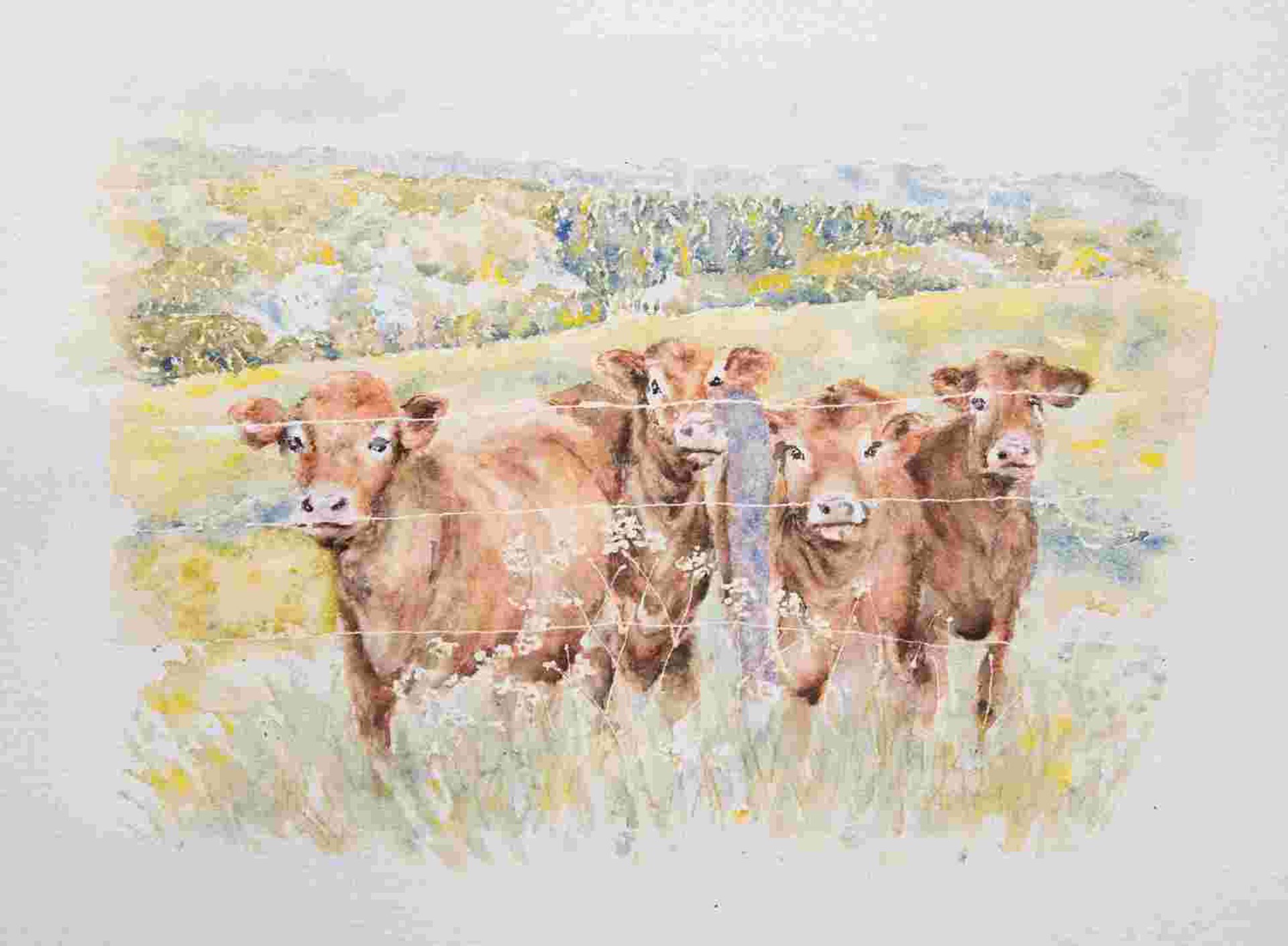 Cow Contemplation by Kate Greenway