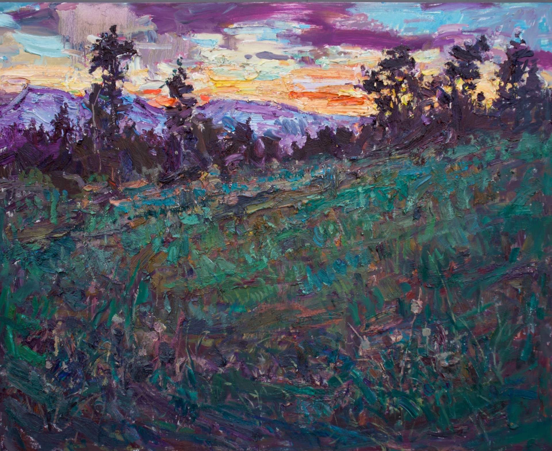 Bitterroot Evening by Turner Vinson