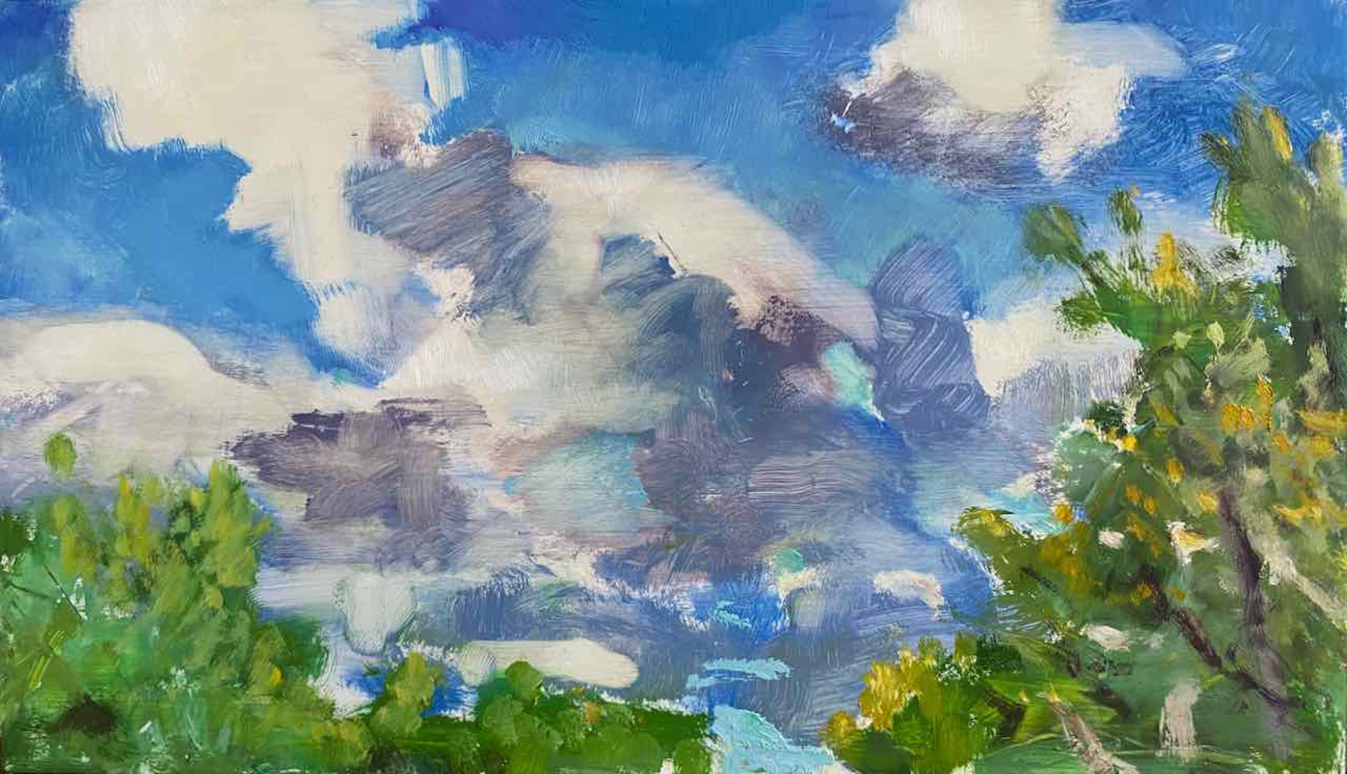 Clouds over Race Point #3 by Donald Beal