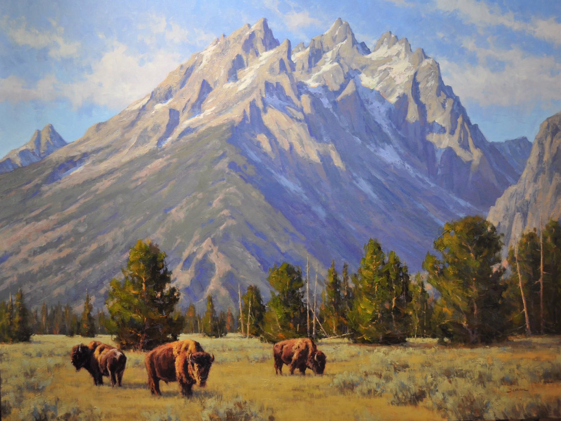 AFTERNOON IN THE GRAND TETON by Greg Scheibel