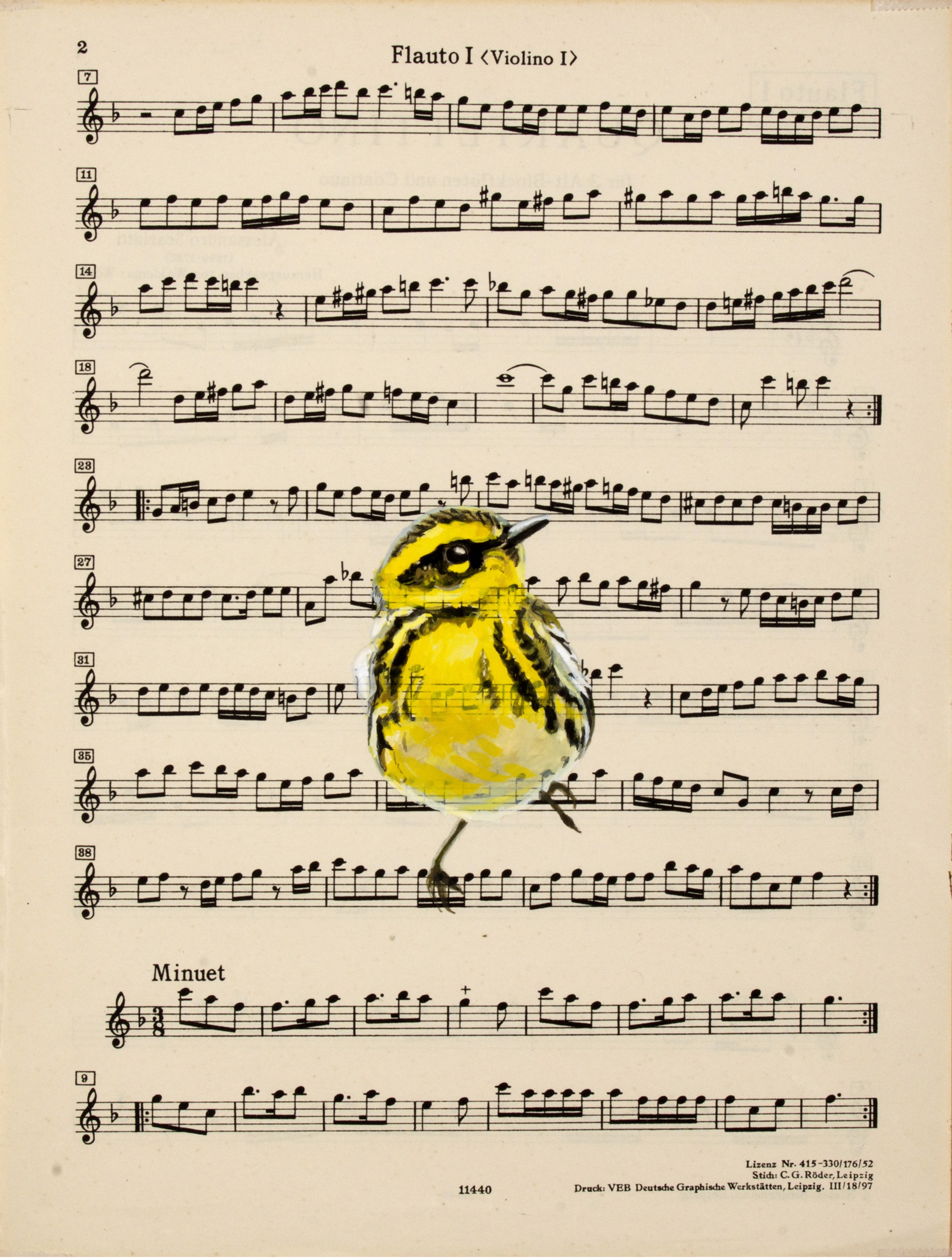 Townsend Warbler Songs V by Diane Andrews Hall