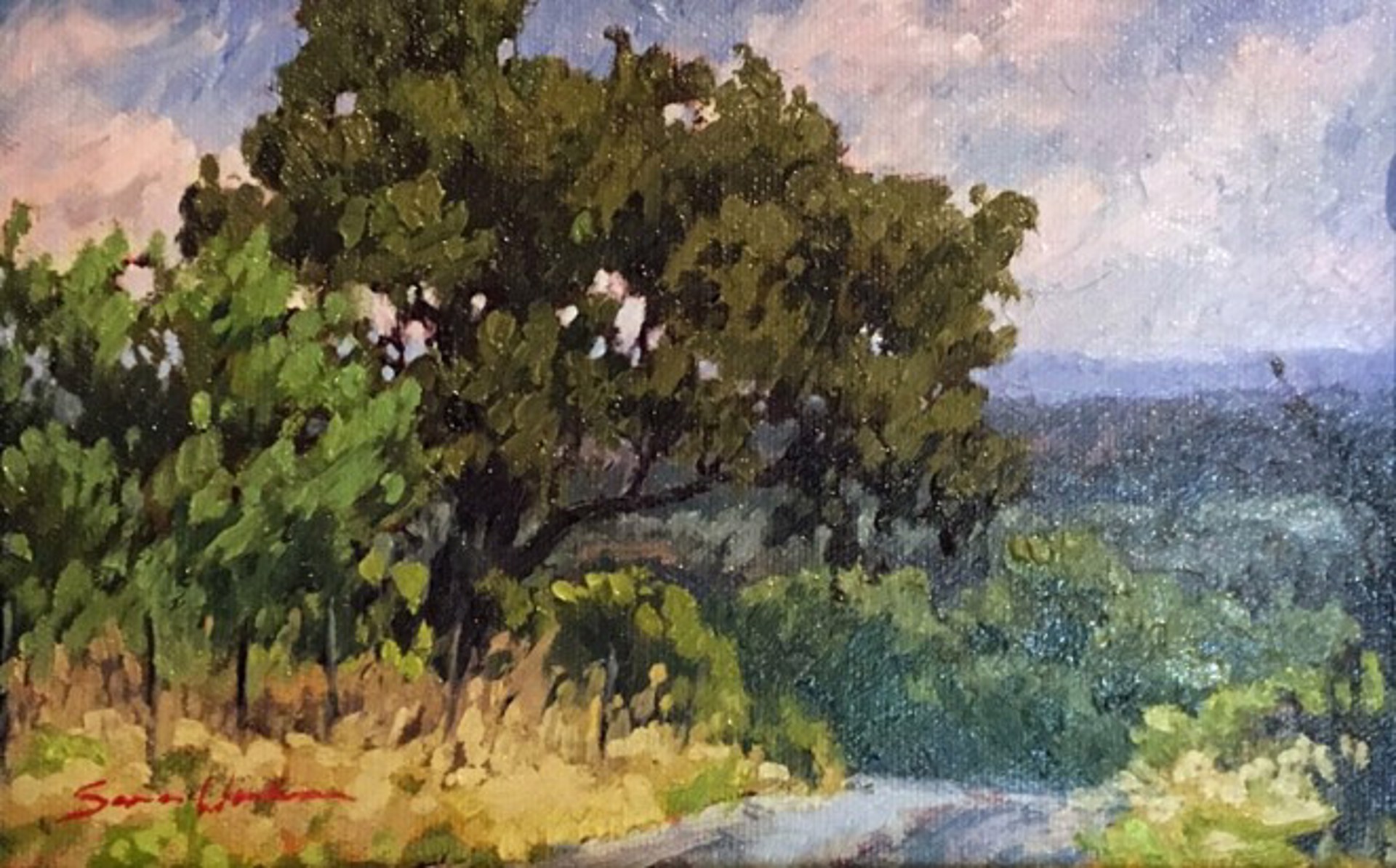 Boerne Outback by Sara (Ahearn) Winters