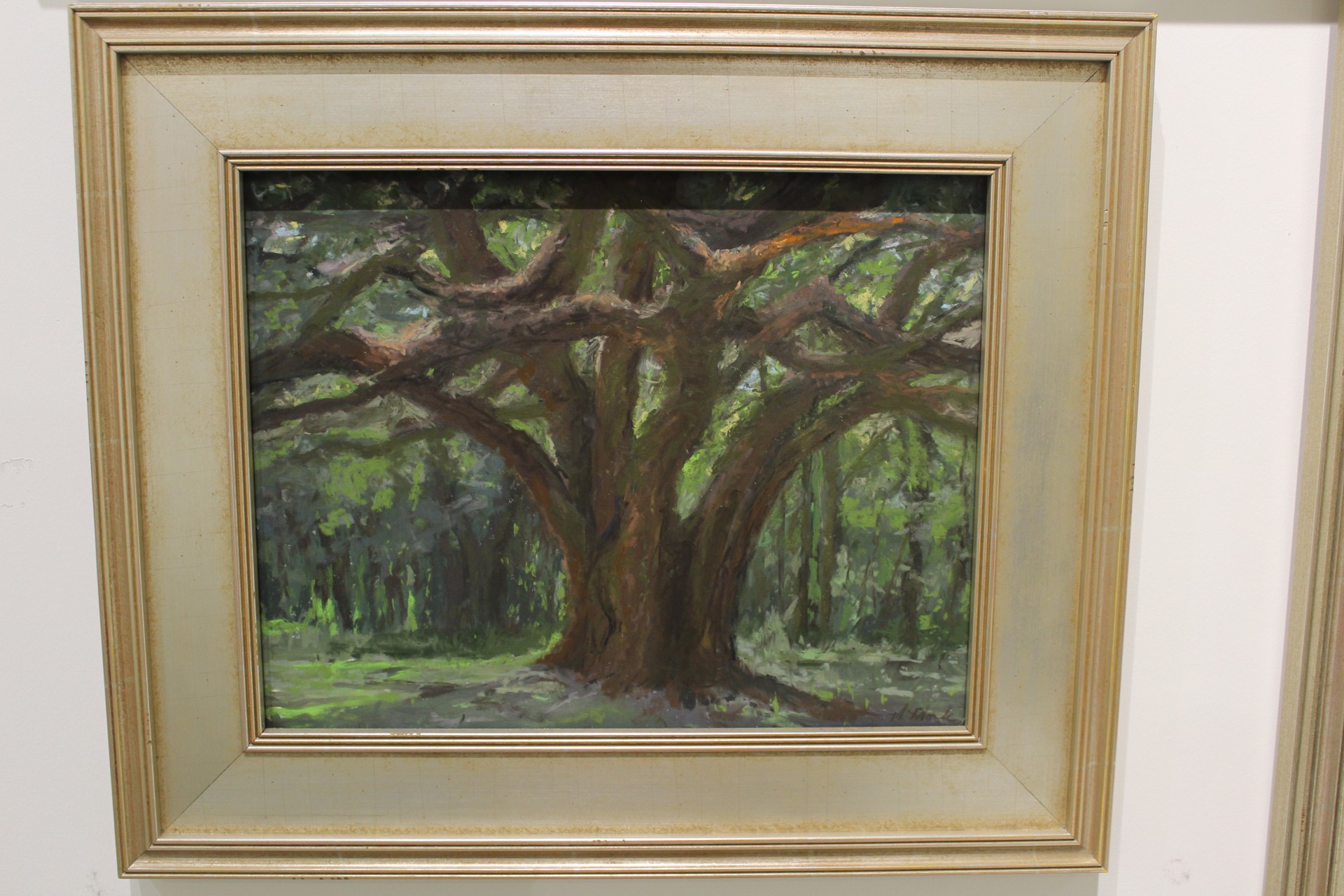 Oak Tree in the Morning Light by Mary Monk