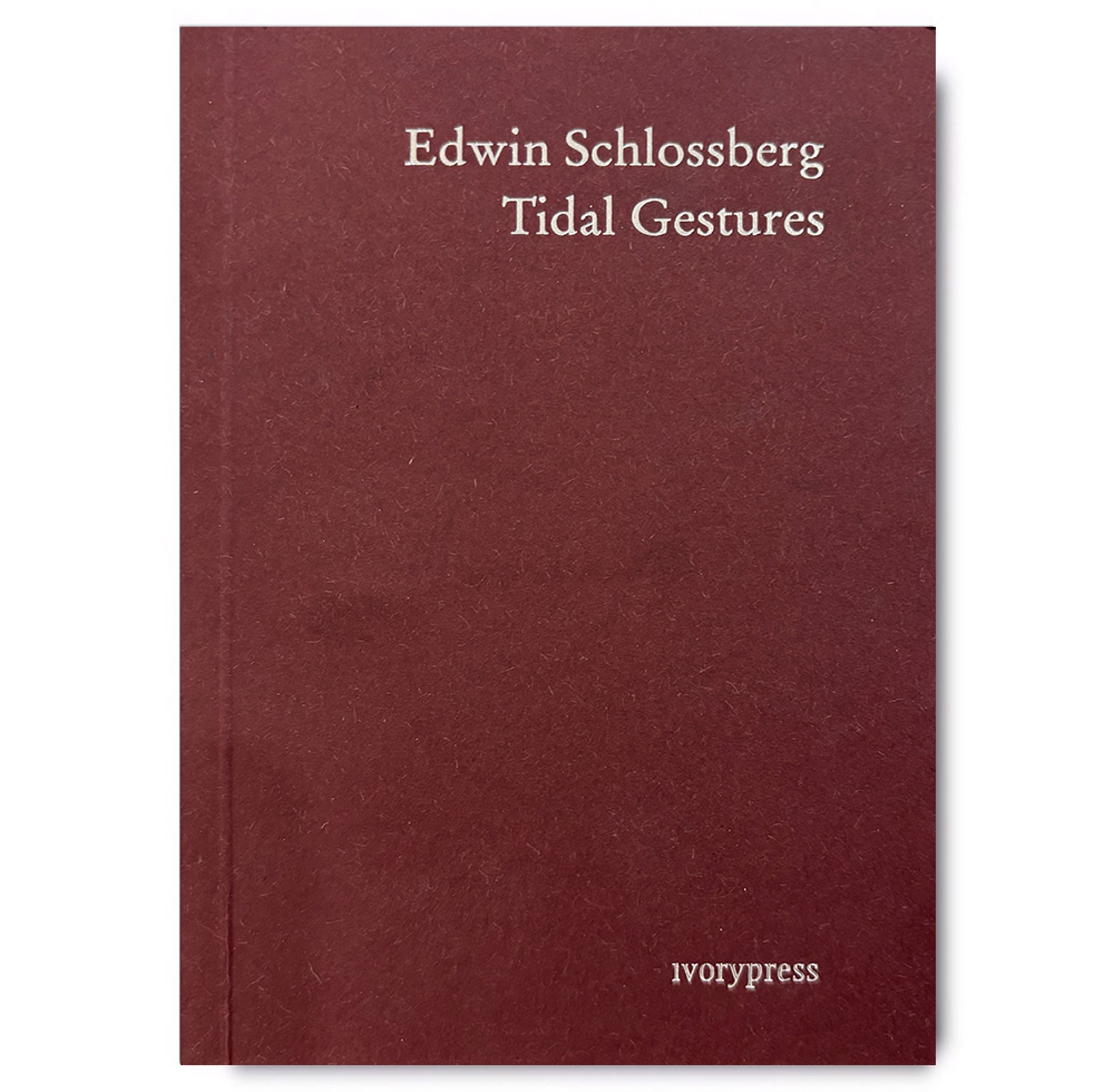 World: Nerve : Tidal Gestures by Edwin Schlossberg