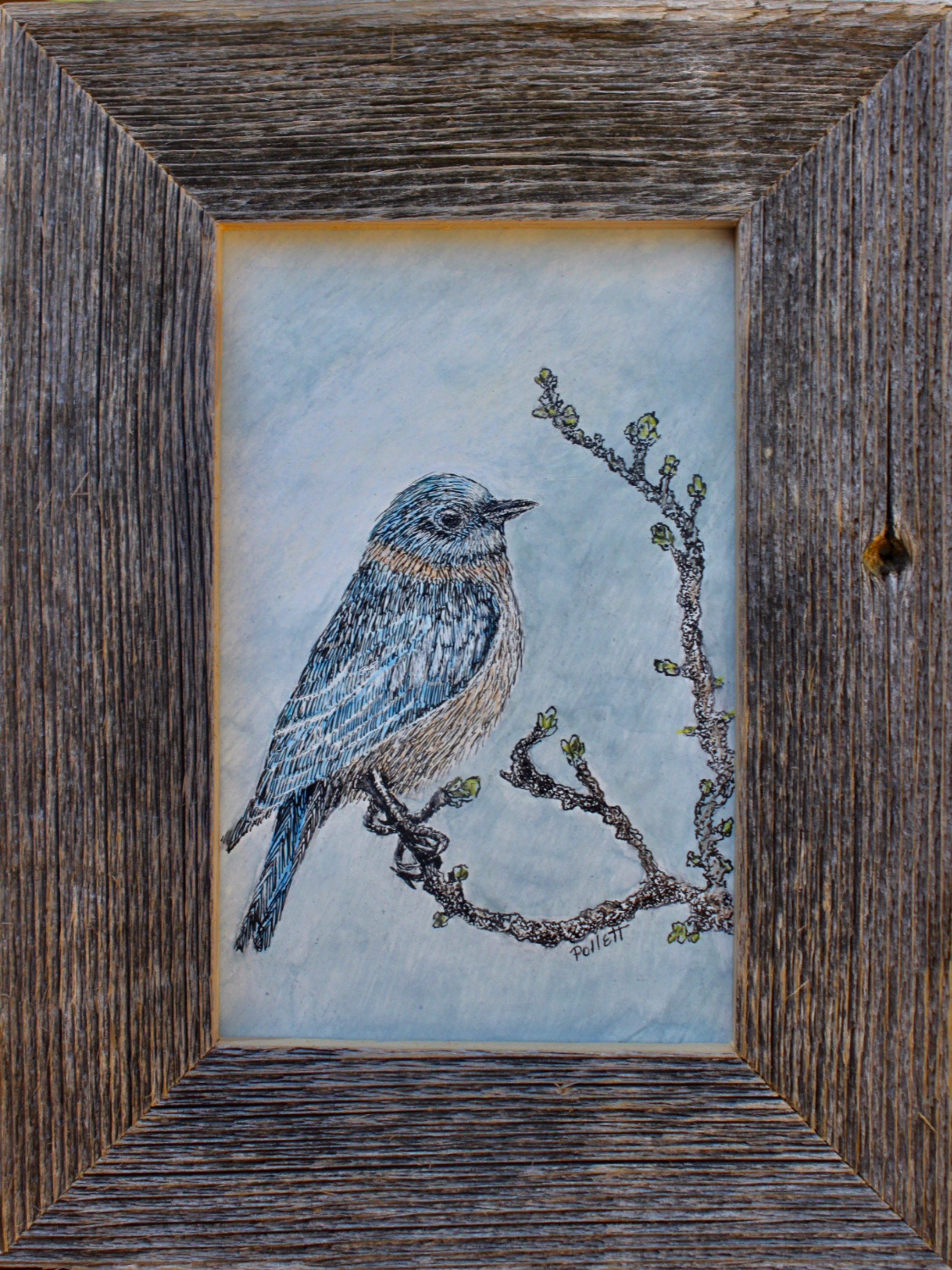 Bluebird by Cynthia Jewell Pollett