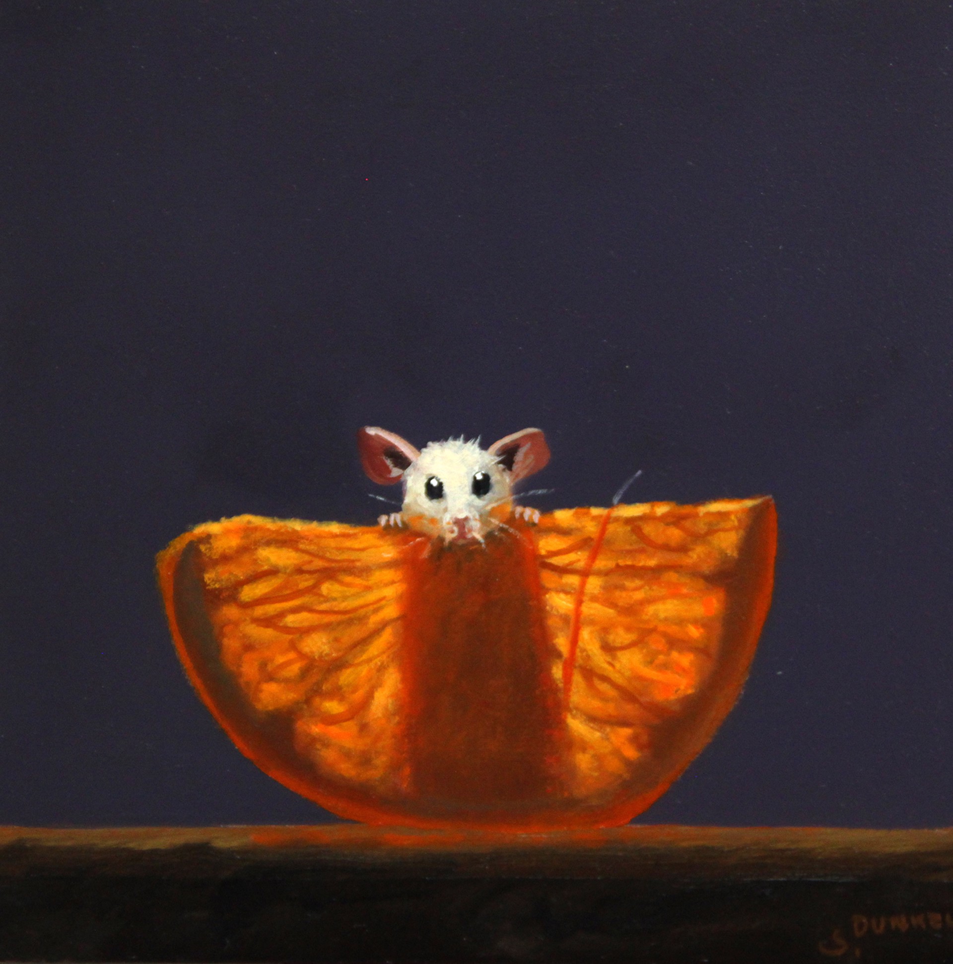 Orange xray 26 by Stuart Dunkel