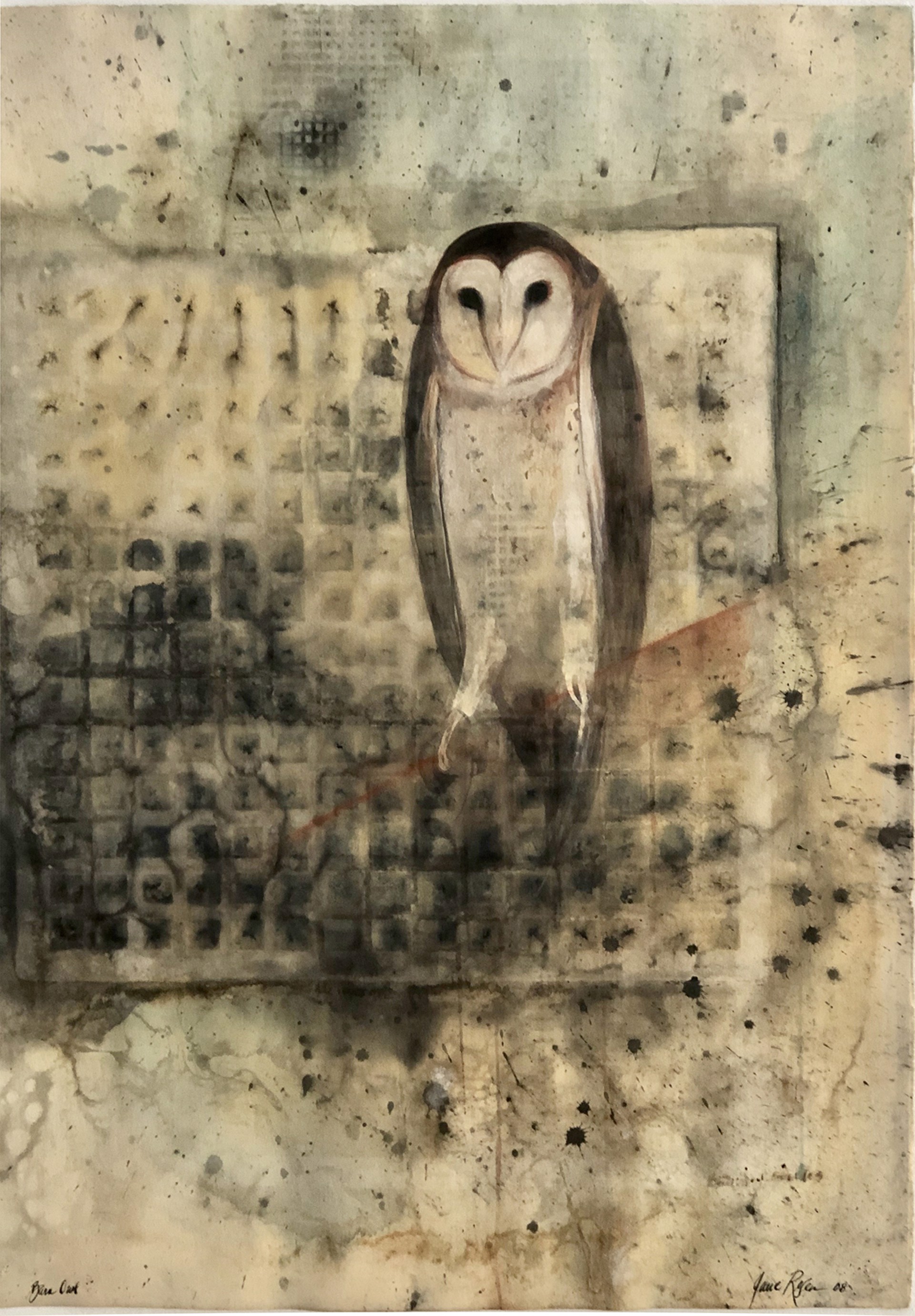Barn Owl by Jane Rosen