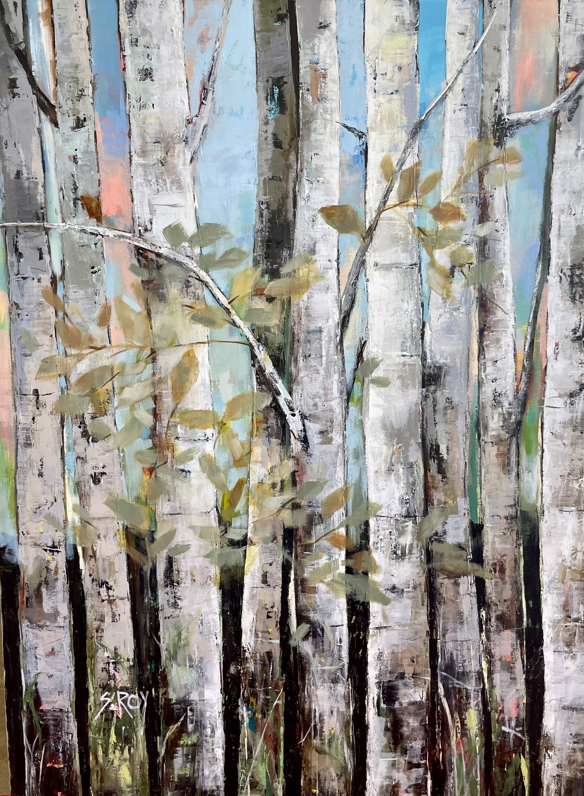 White Birch Forest by Sharmila Roy