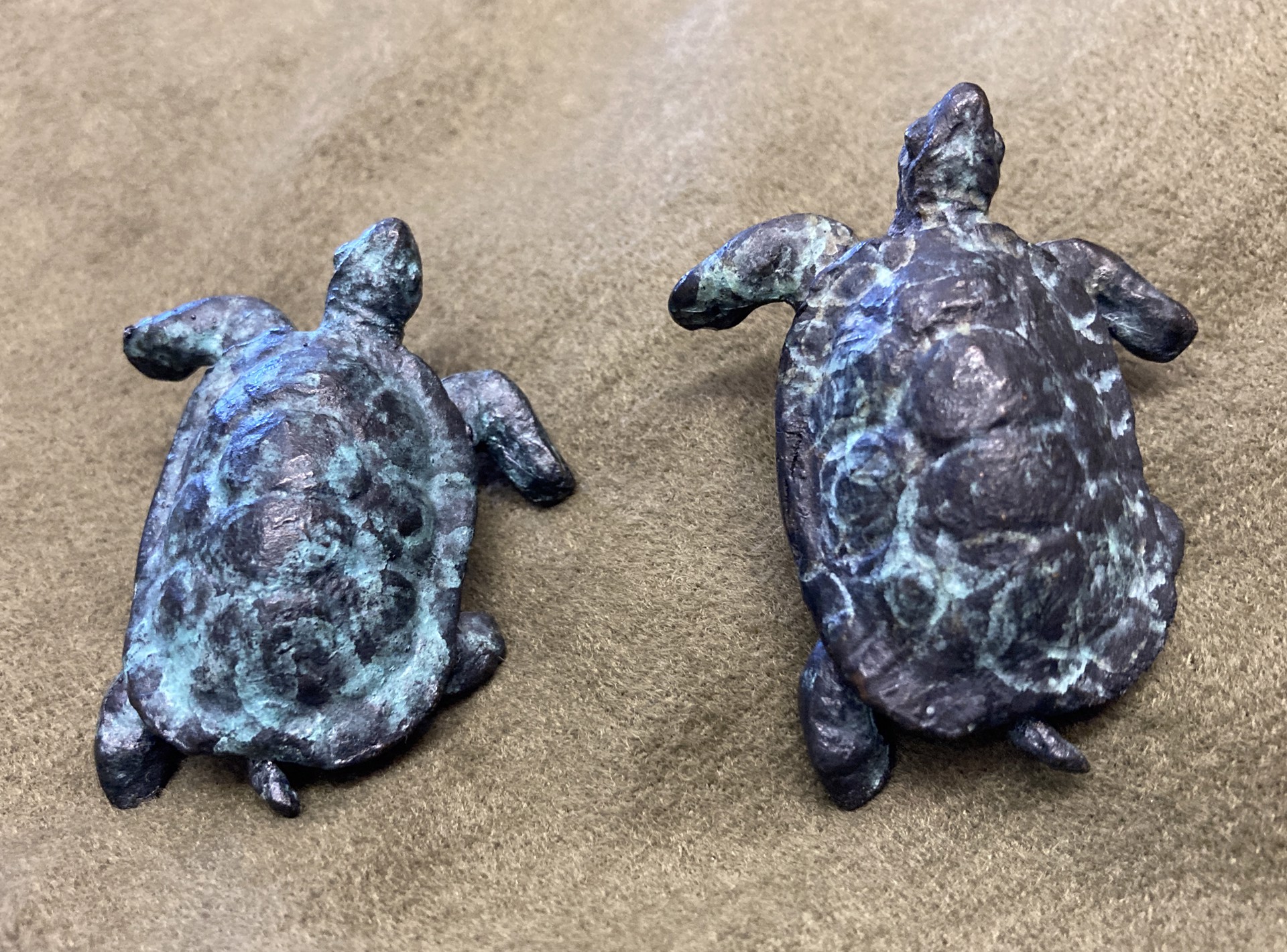 Pair of Turtles by Rob Pitzer's Private Collection