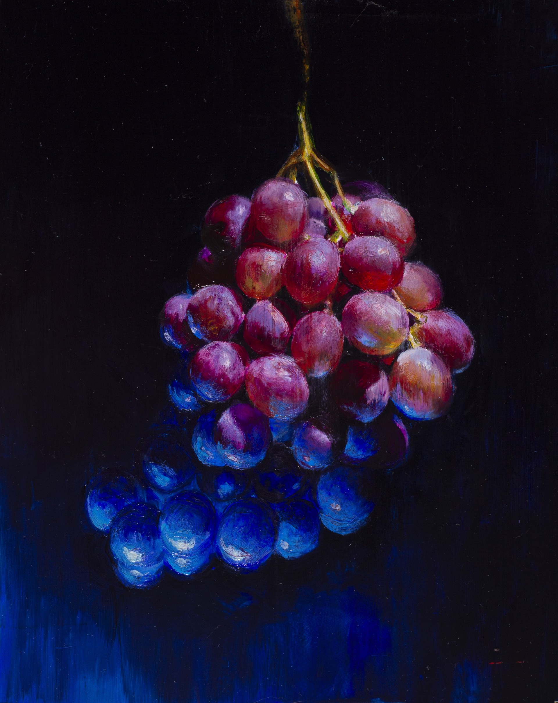 Blue Grapes by Daire Lynch