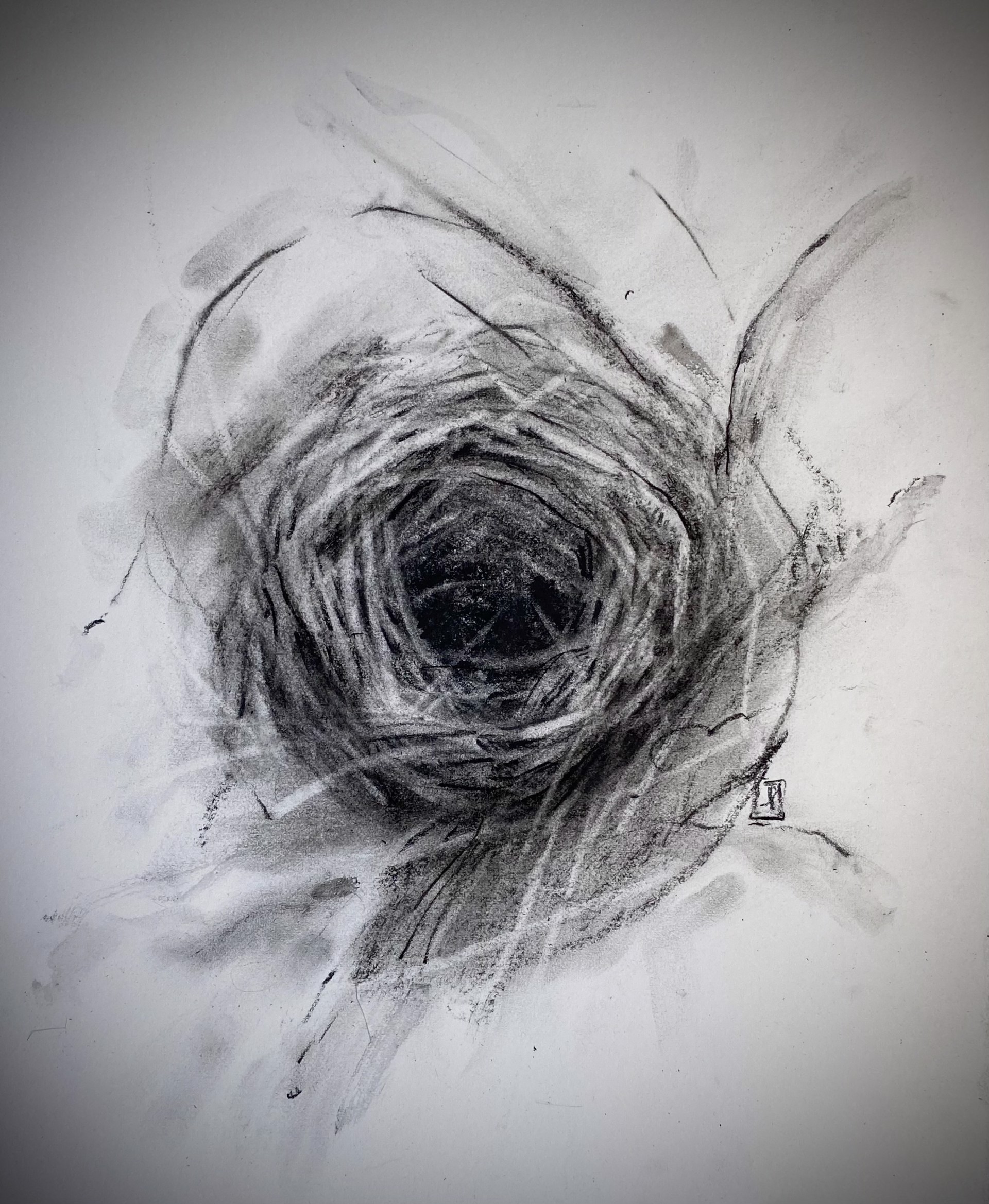 Nest I by Laura Roebuck