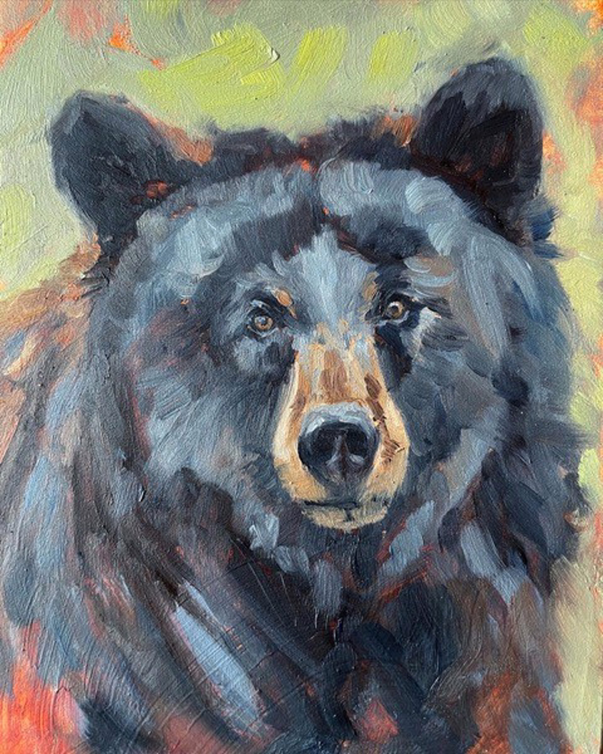 Black Bear Portrait by KINDRIE GROVE