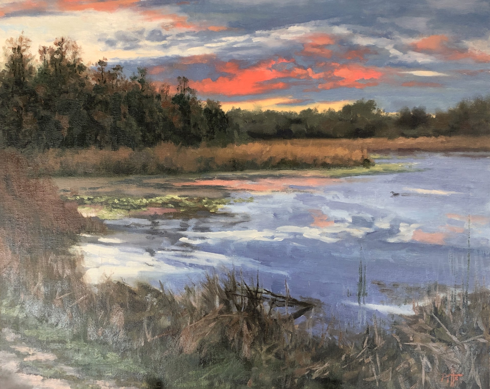 Sunset Over Wekiva - SOLD by Randy Pitts