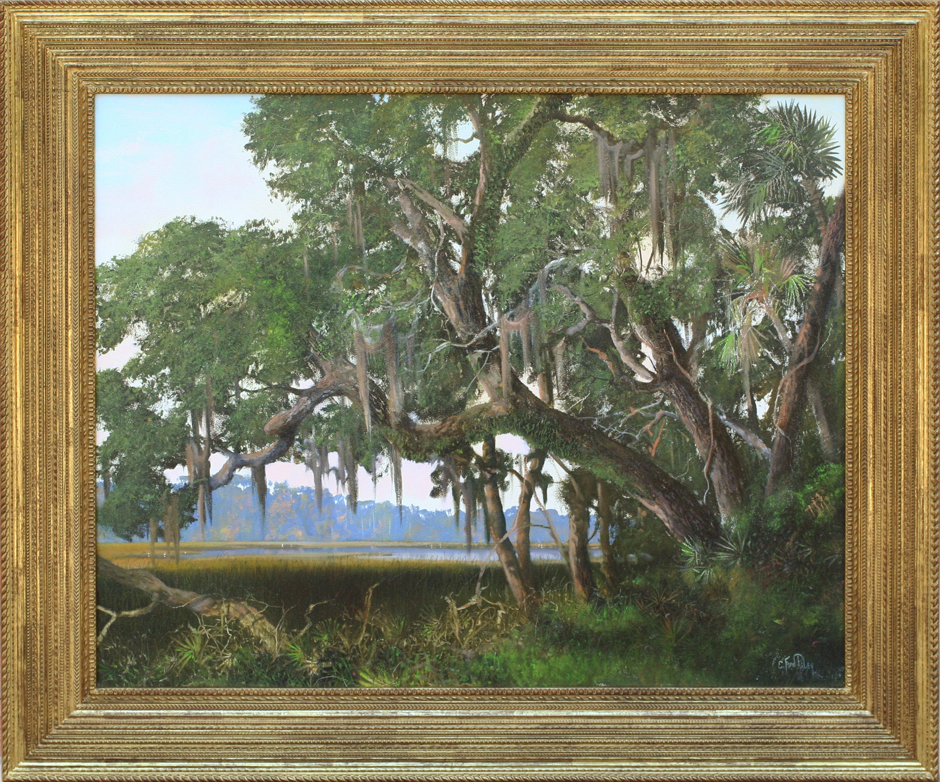 Old Florida Oak by C. Ford Riley