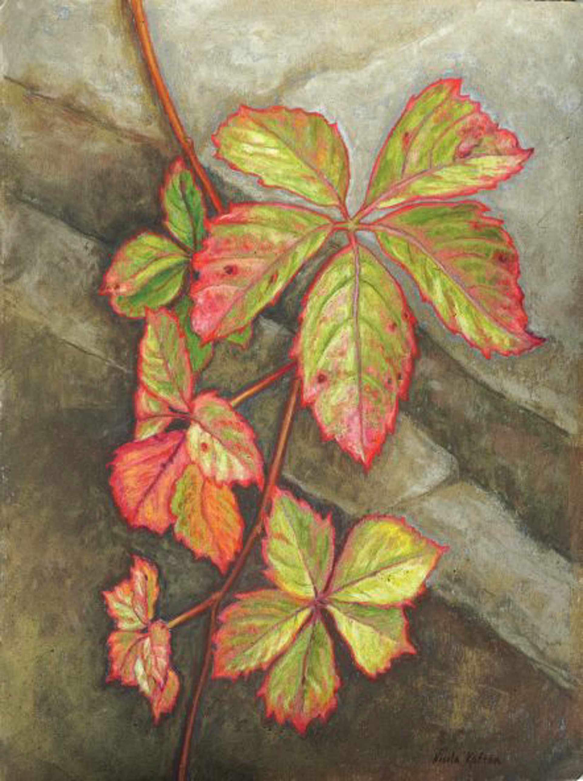 Autumn Ivy by Niki Kaftan