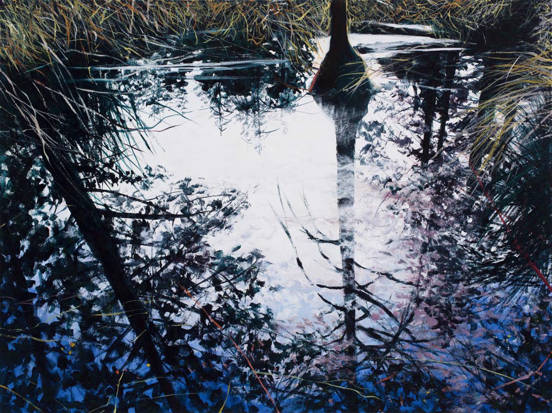 Lake Shadows by Angelita Surmon