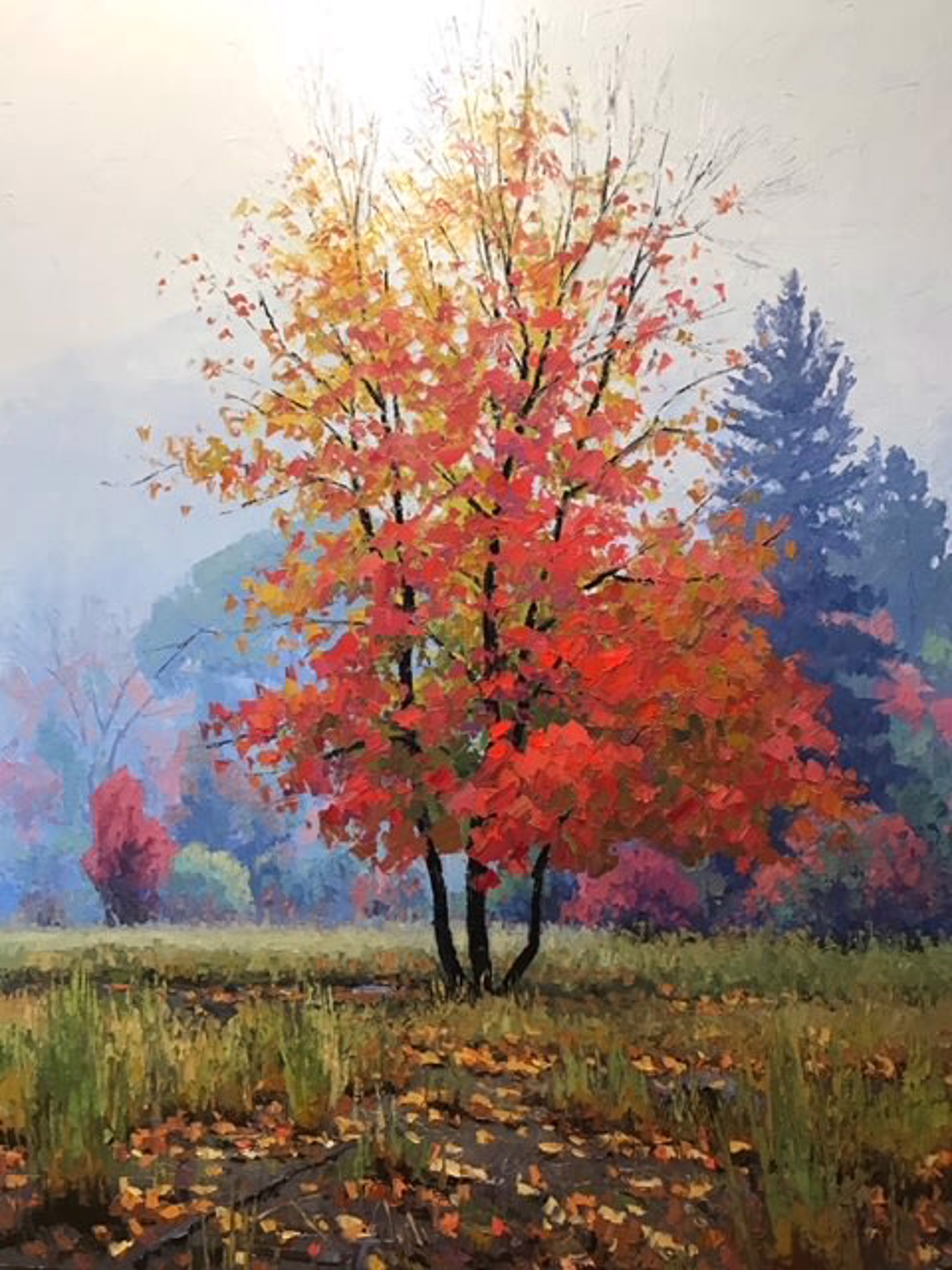Autumn Mists by Douglas Aagard