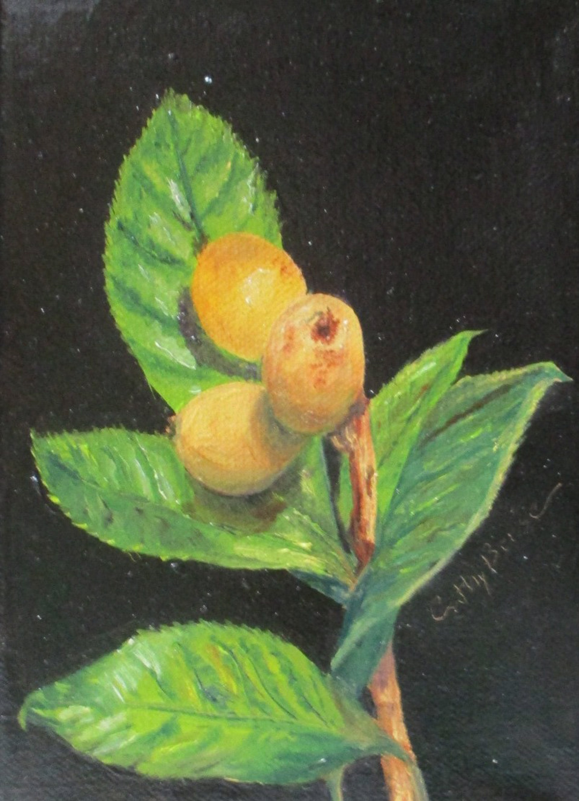 Sweet Little Kamquat by Cathy Berse