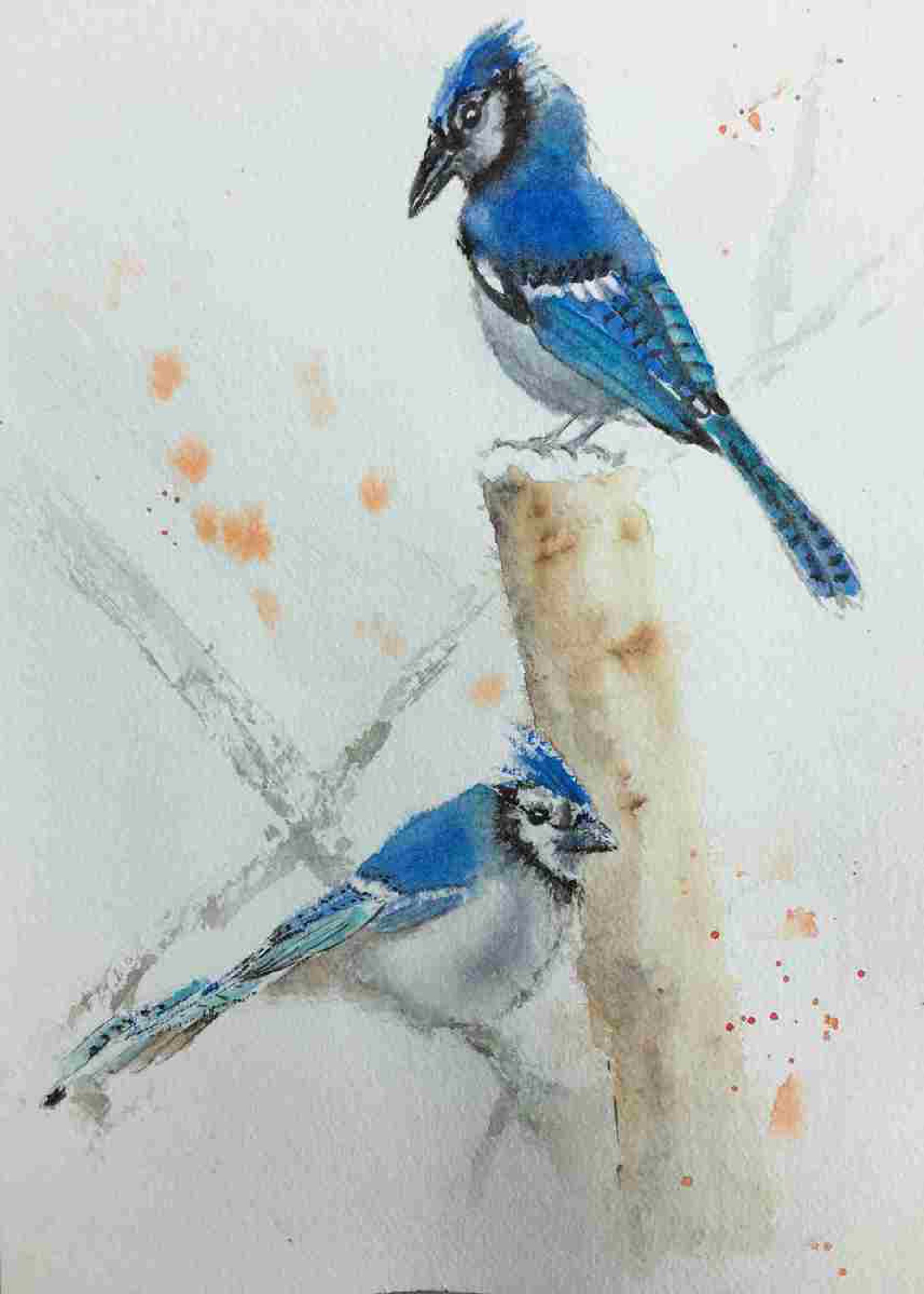 Blue Jays in Winter by Kate Greenway
