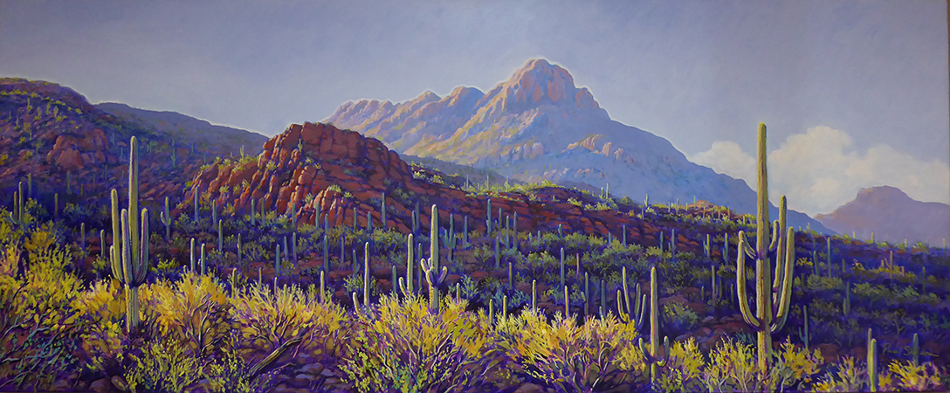 Sombrero Peak Vista By Paul Sheldon Cobalt Gallery