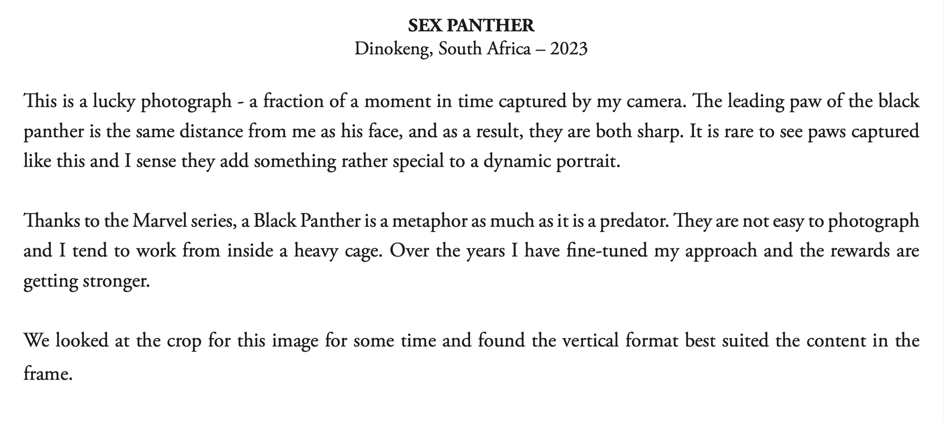 Sex Panther by David Yarrow