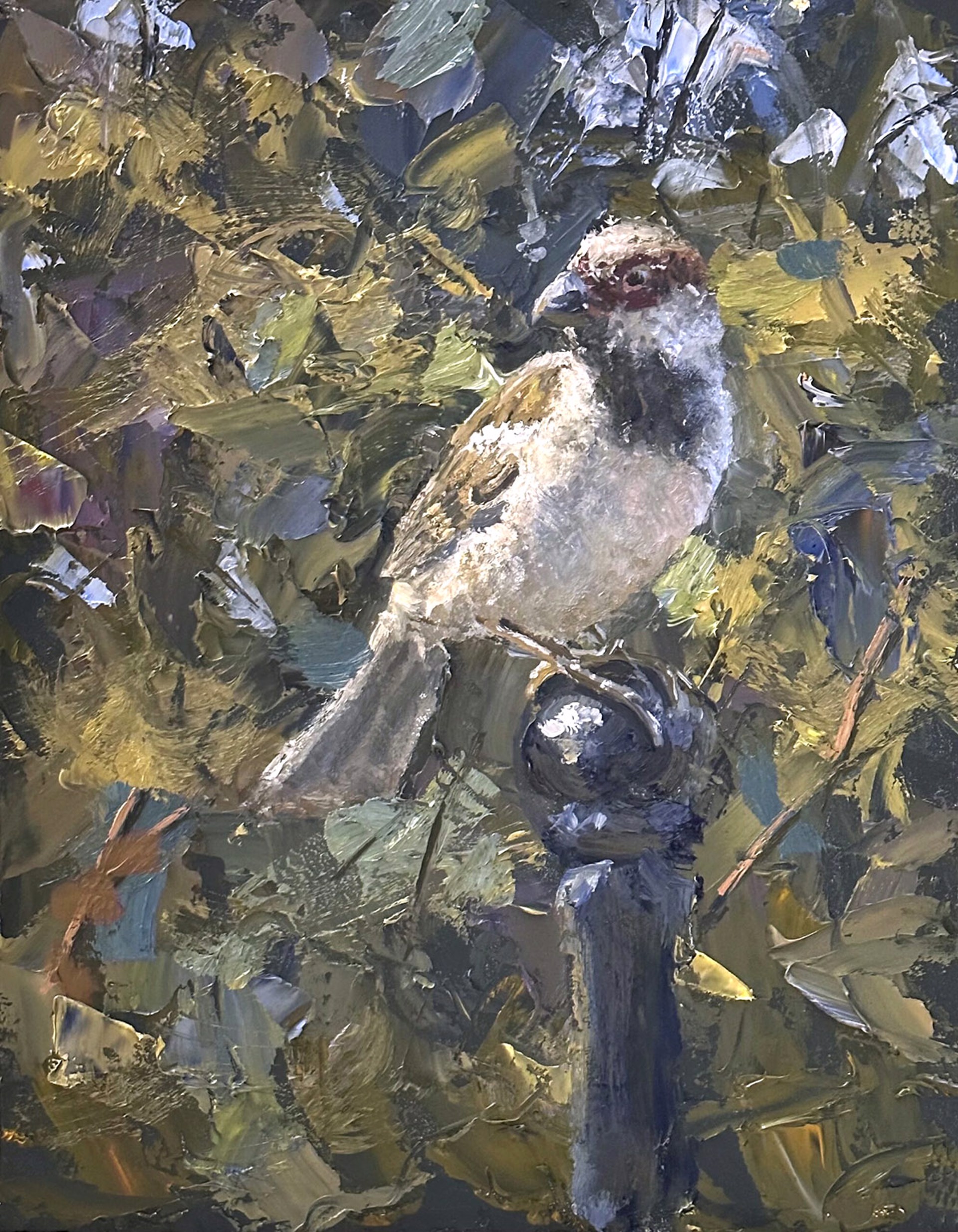 Fred Doloresco "House Sparrow" by Oil Painters of America