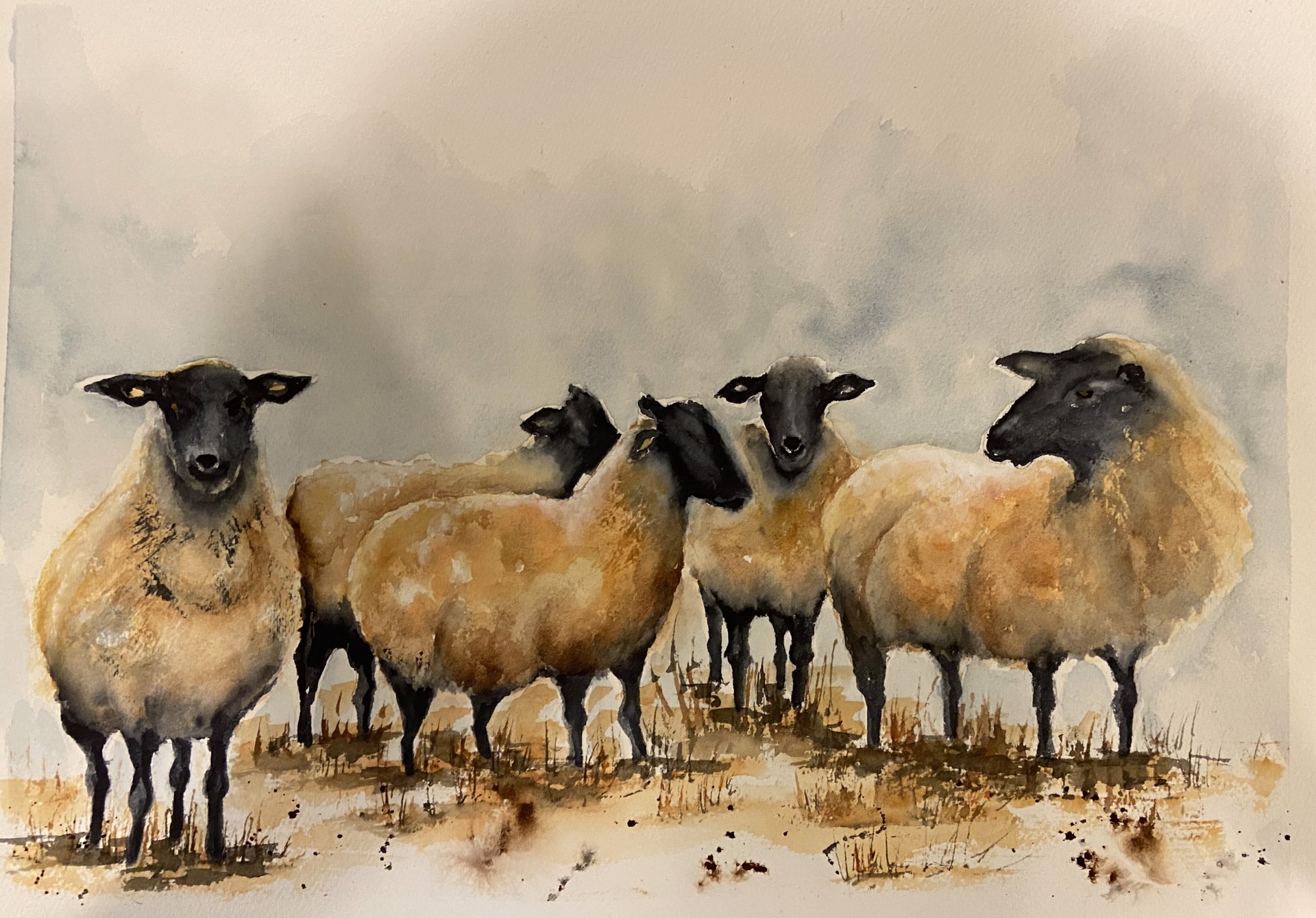 Shearing Time by Sheryl Besette